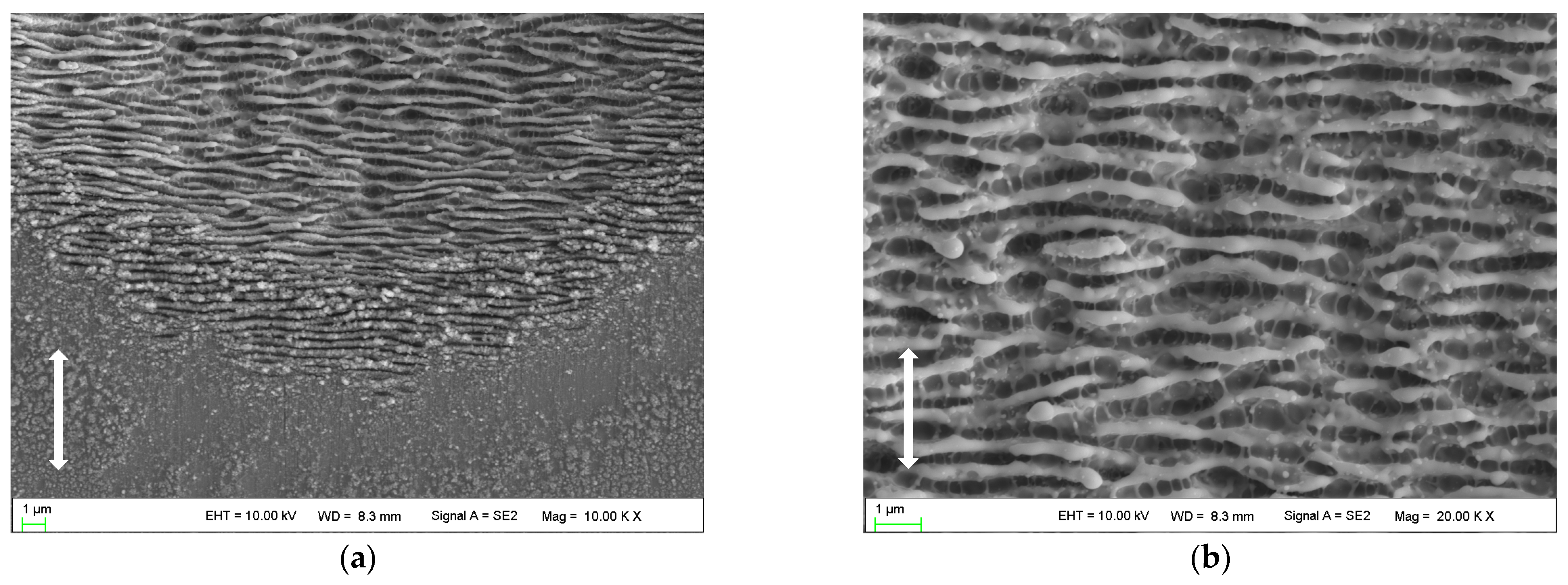 Micromachines 14 00428 g005