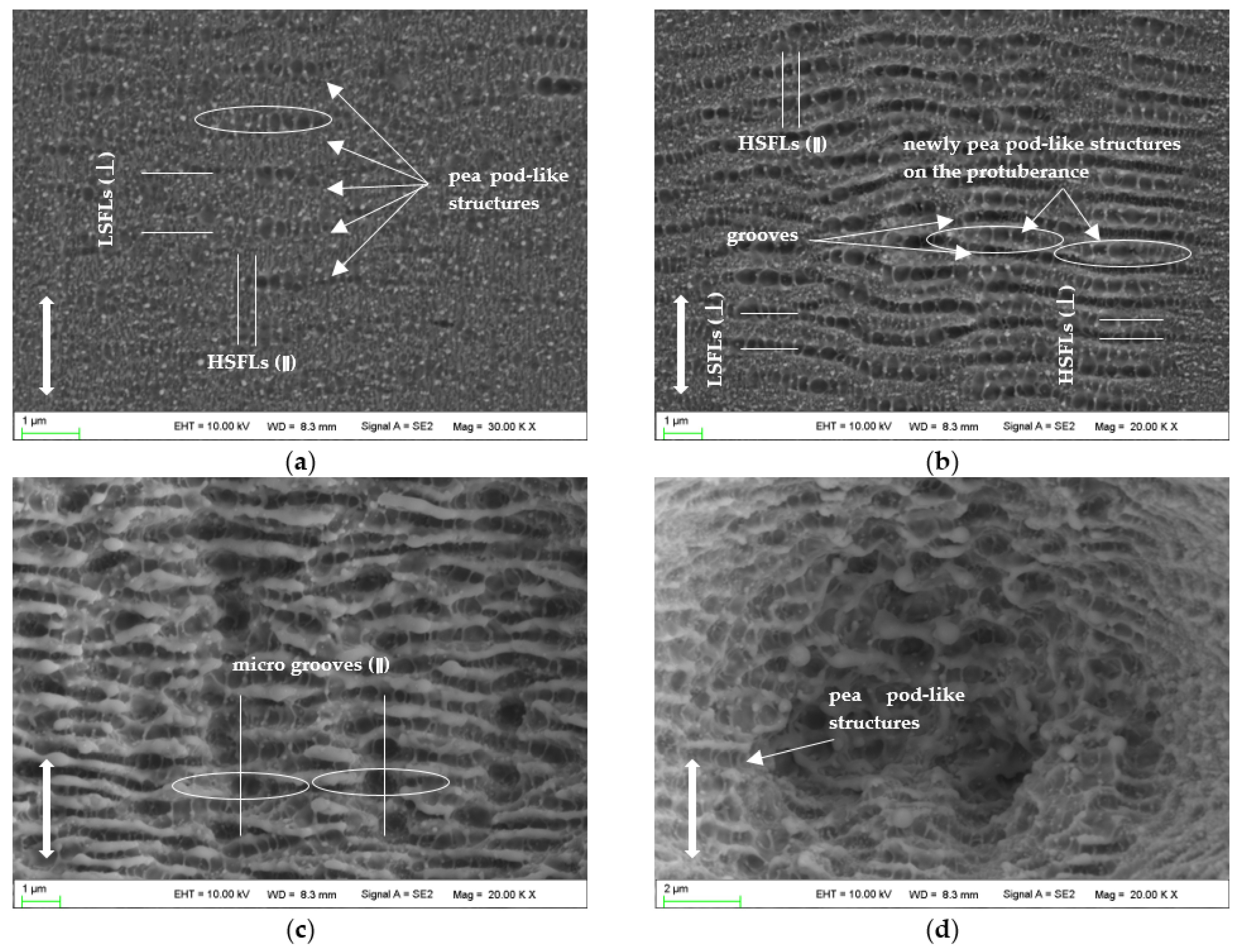 Micromachines 14 00428 g008