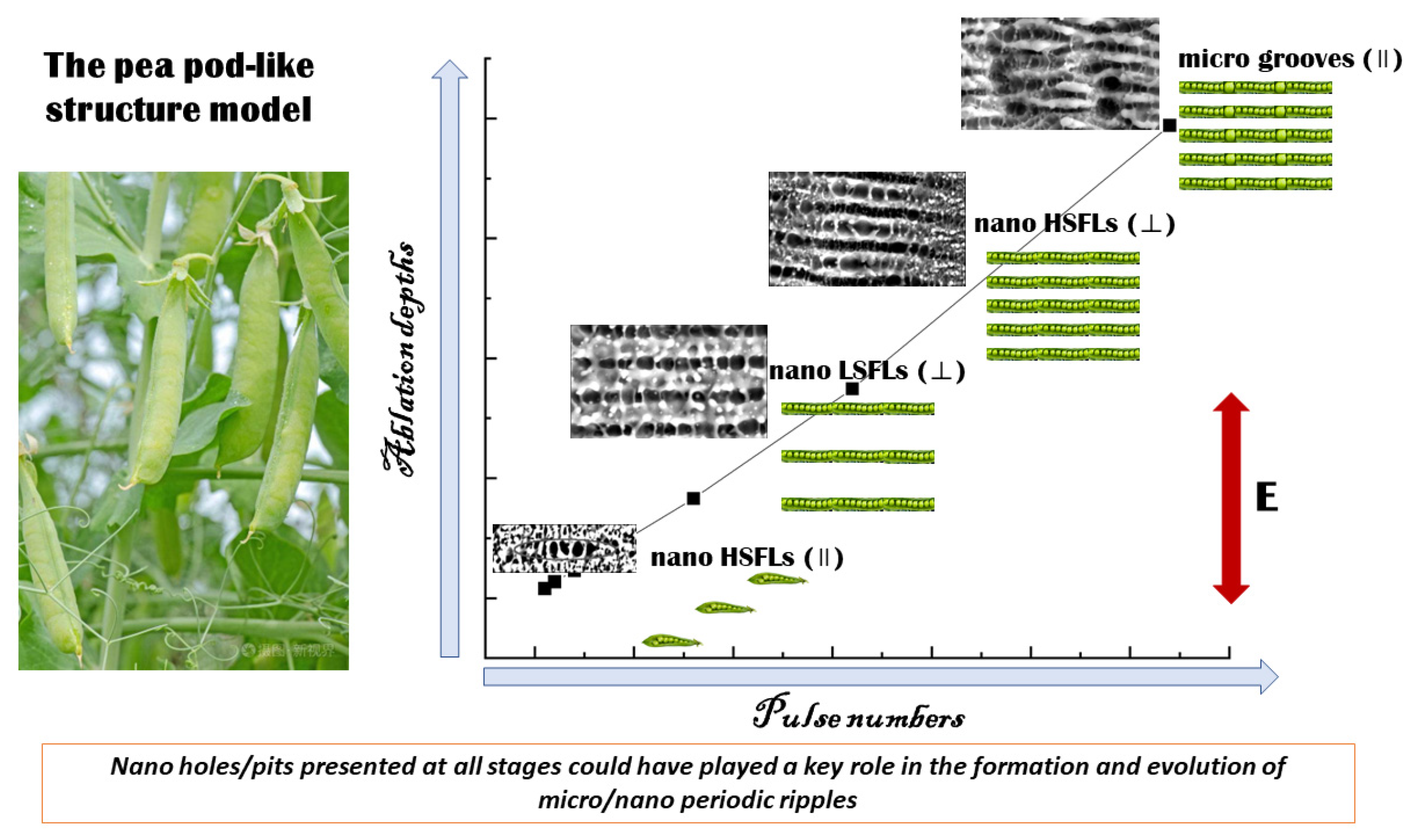Micromachines 14 00428 g010