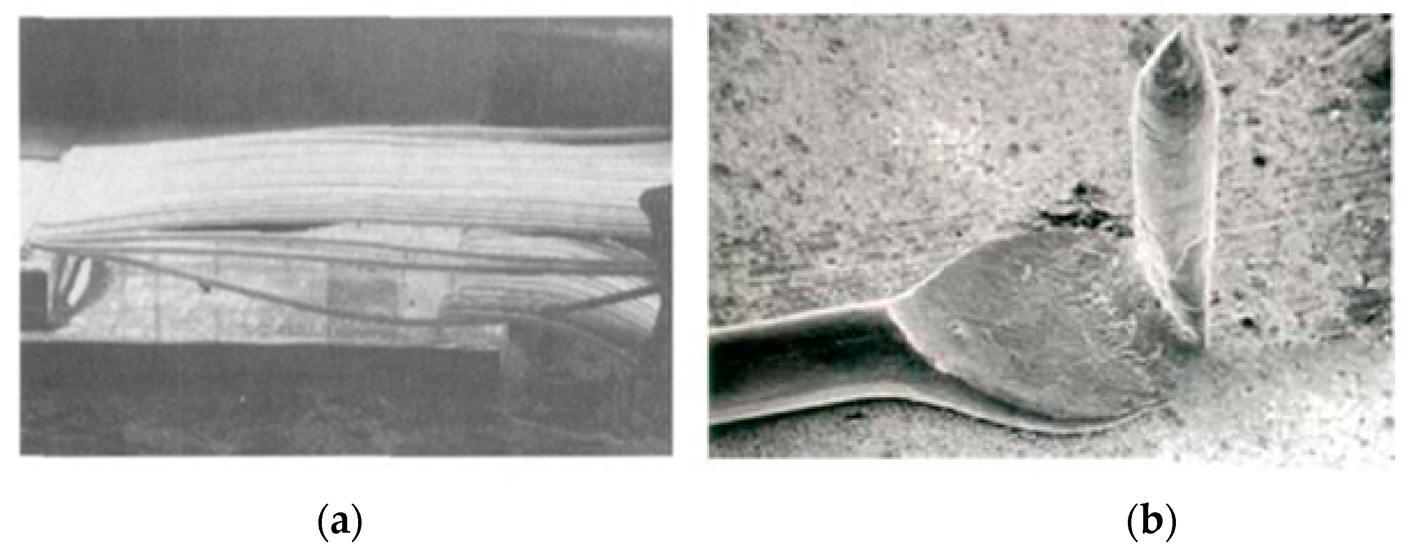 Micromachines 14 00432 g001 Micromachines 14 00432 g001