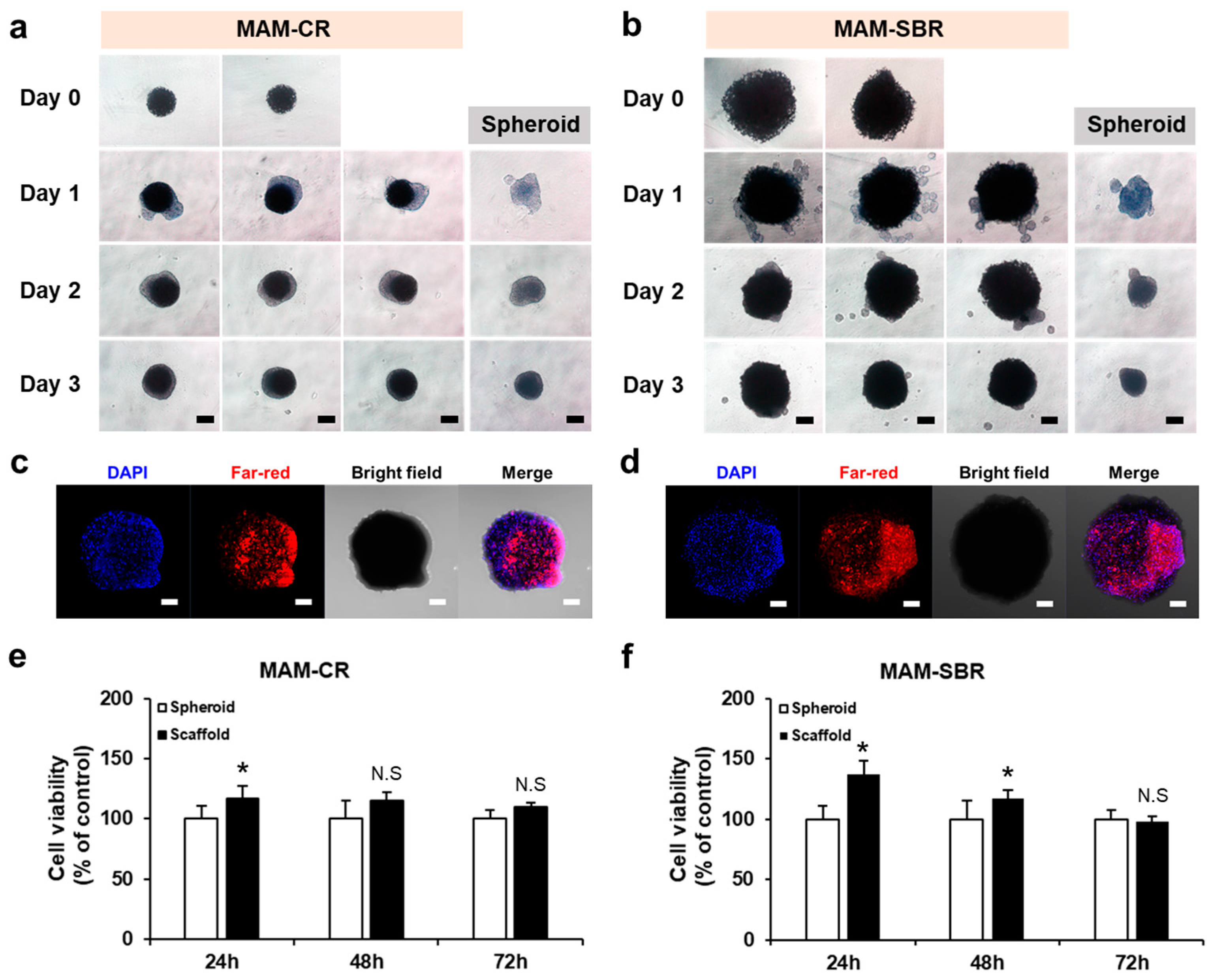 Micromachines 14 00434 g003