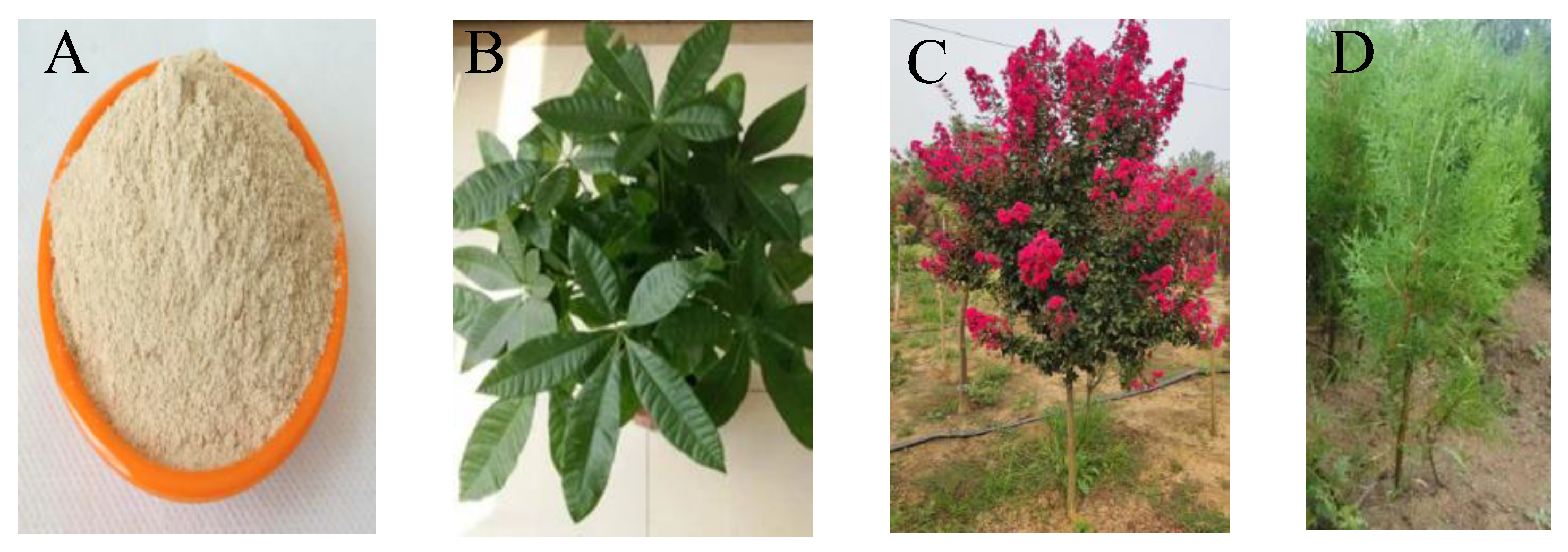 Micromachines 14 00440 g001 Micromachines 14 00440 g001