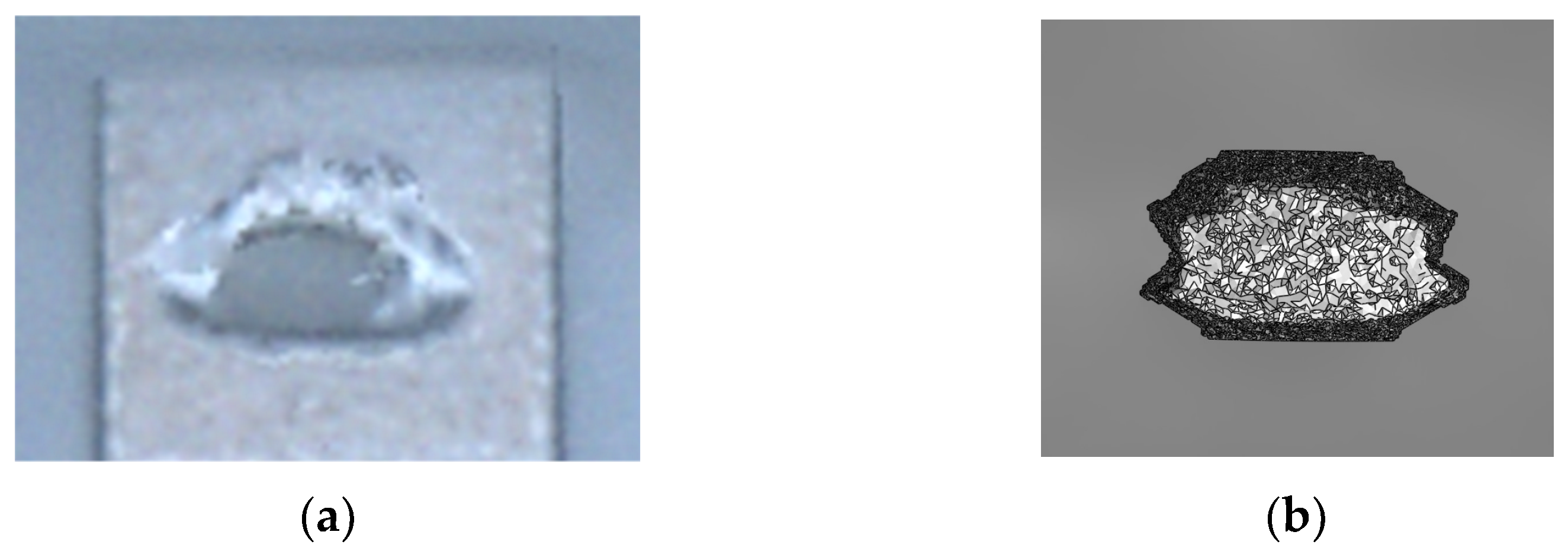 Micromachines 14 00443 g006 550