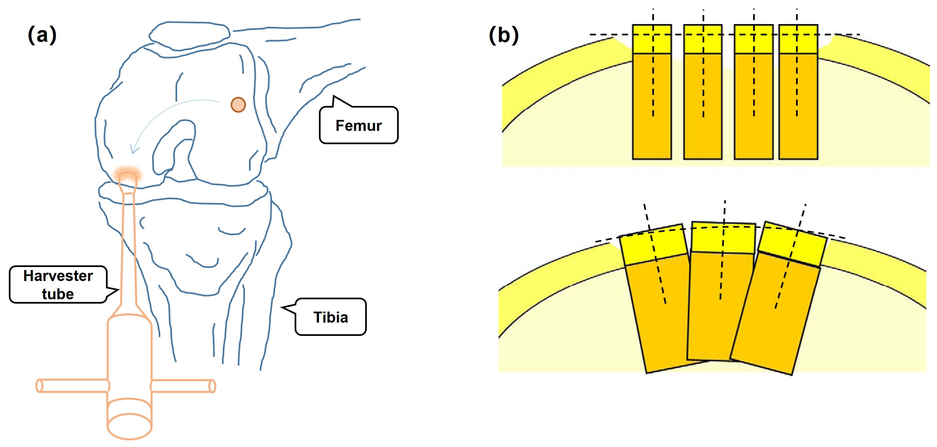 Micromachines 14 00446 g001