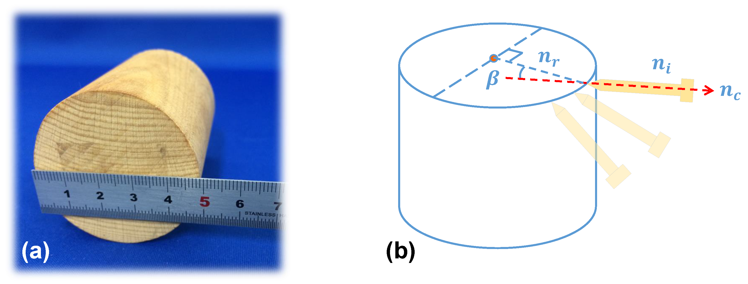 Micromachines 14 00446 g005