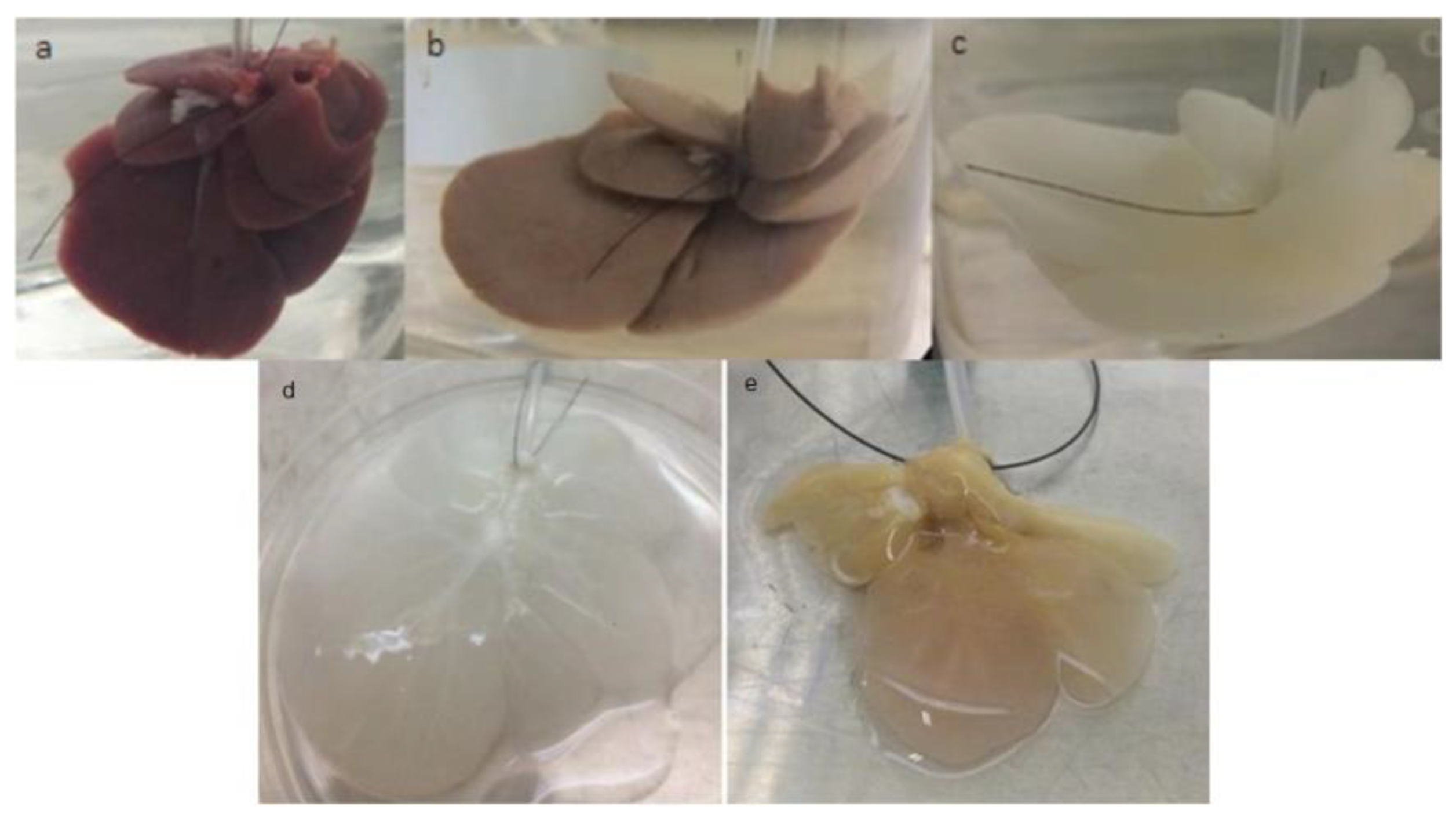 Micromachines 14 00449 g002