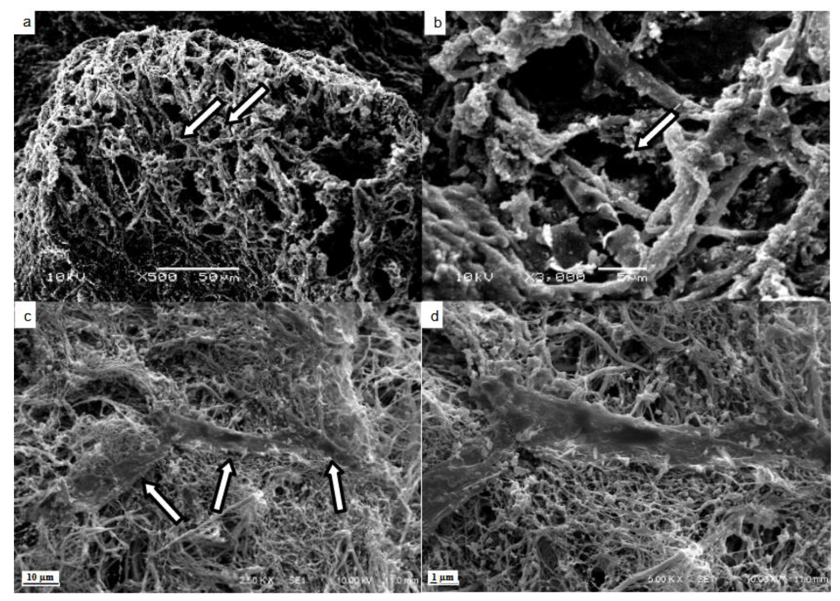 Micromachines 14 00449 g004
