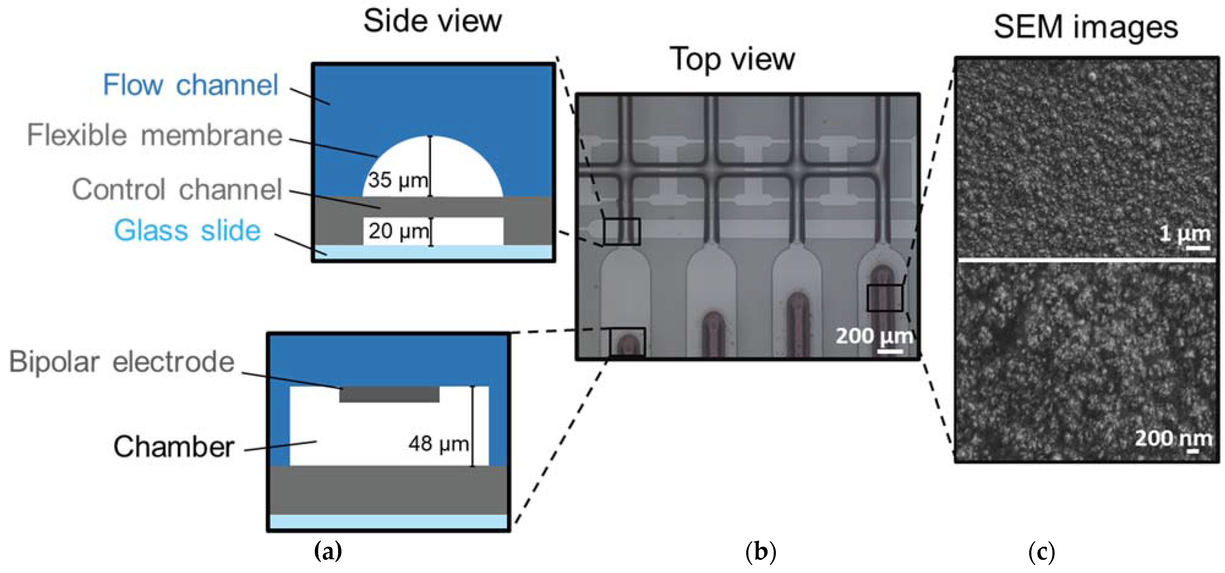 Micromachines 14 00453 g003 Micromachines 14 00453 g003