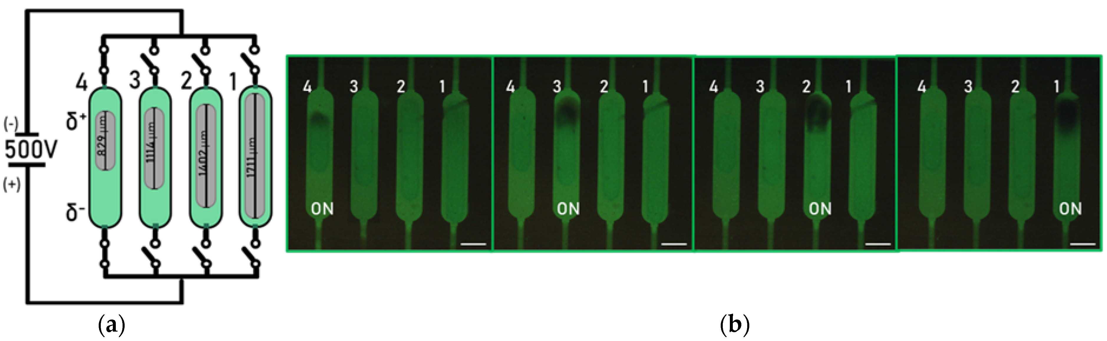 Micromachines 14 00453 g005 Micromachines 14 00453 g005