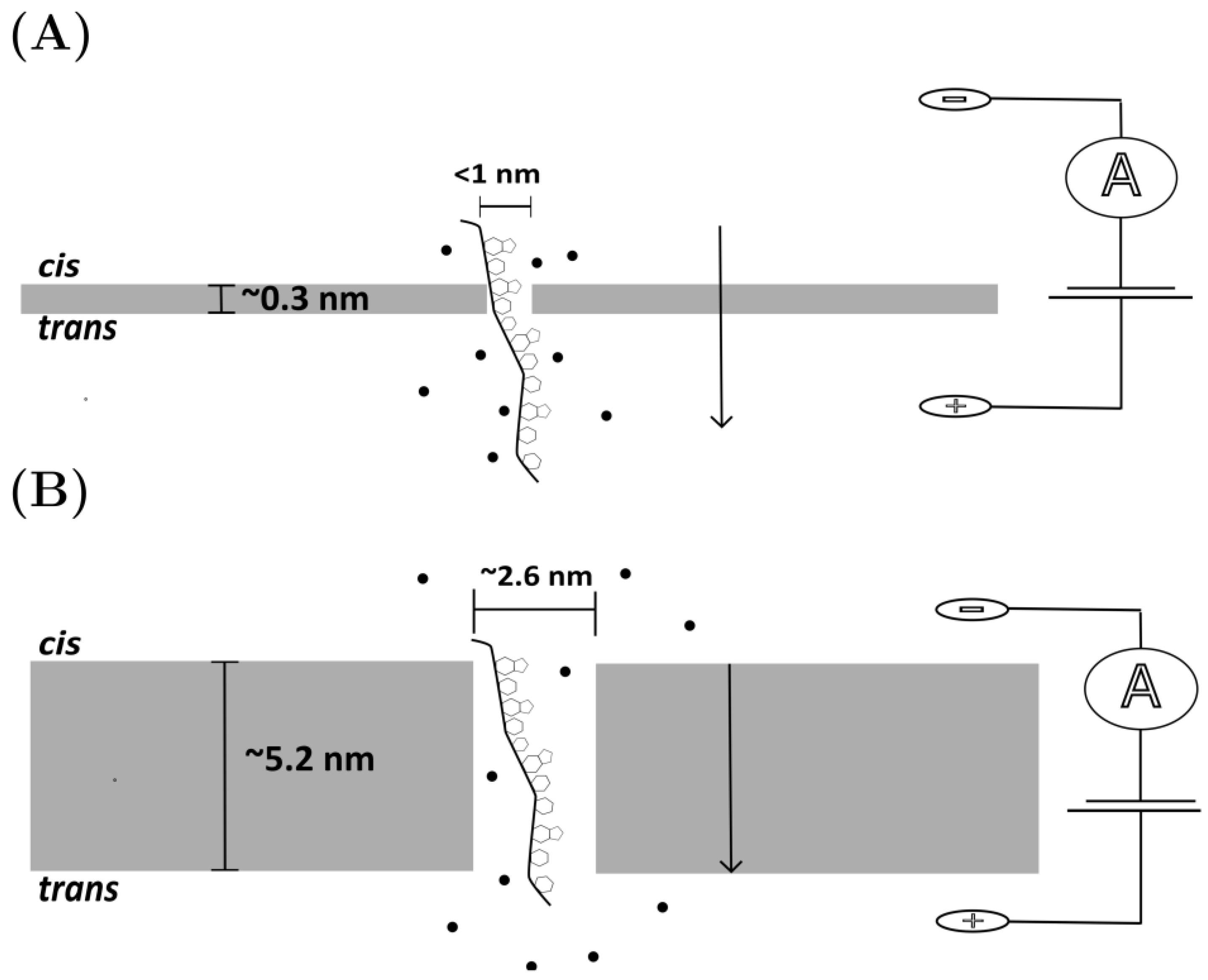 Micromachines 14 00459 g002