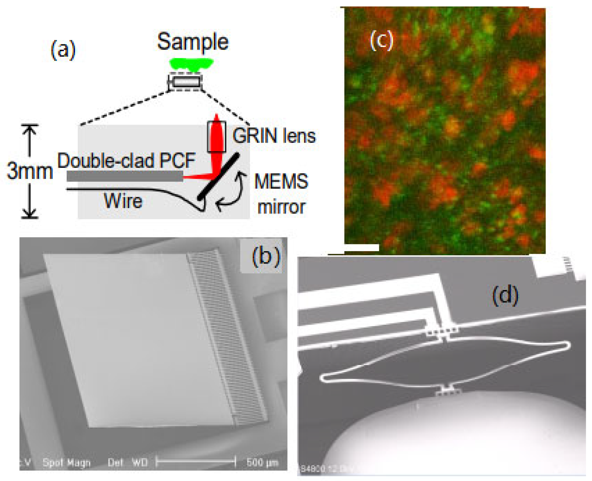 Micromachines 14 00470 g011 Micromachines 14 00470 g011