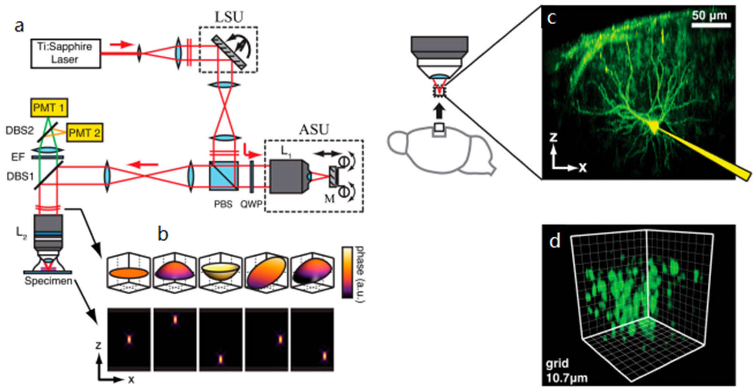 Micromachines 14 00470 g016 Micromachines 14 00470 g016