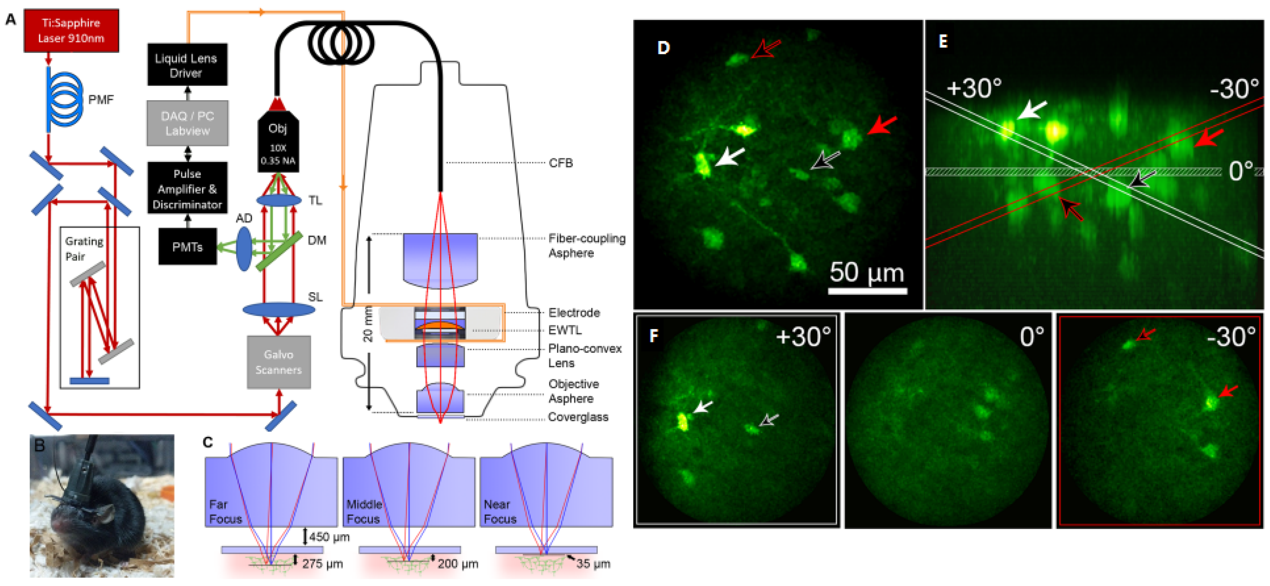 Micromachines 14 00470 g019 Micromachines 14 00470 g019