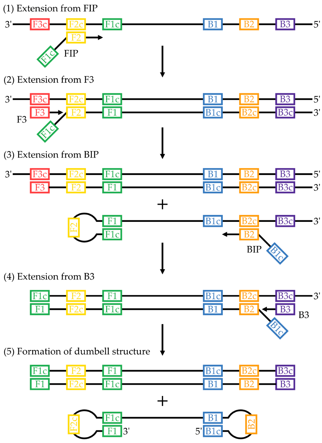 Micromachines 14 00472 g001