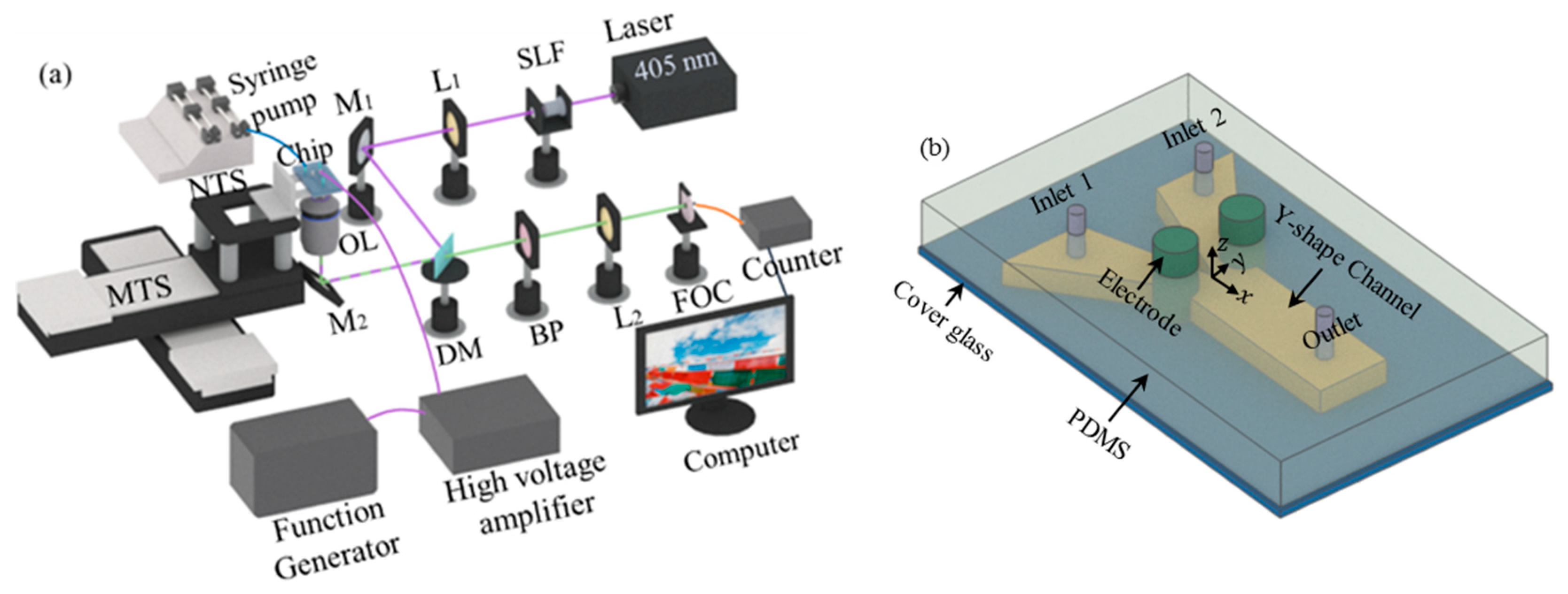 Micromachines 14 00474 g002 Micromachines 14 00474 g002