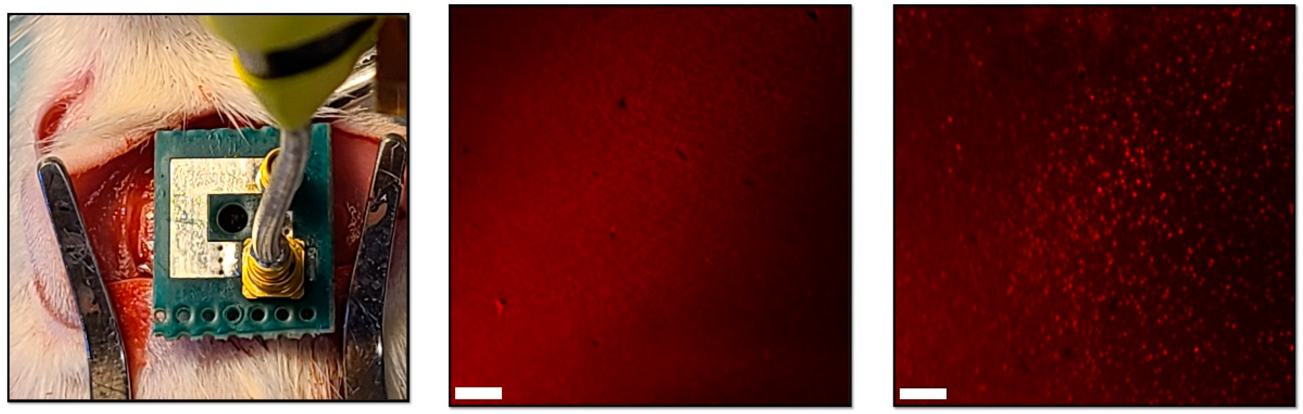 Micromachines 14 00476 g009 Micromachines 14 00476 g009