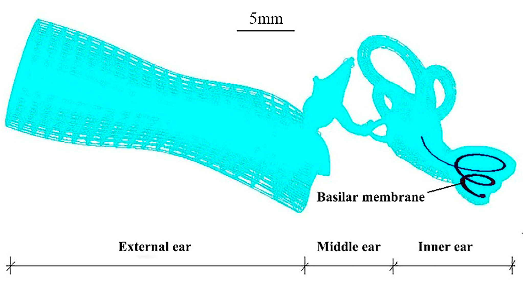 Micromachines 14 00483 g001