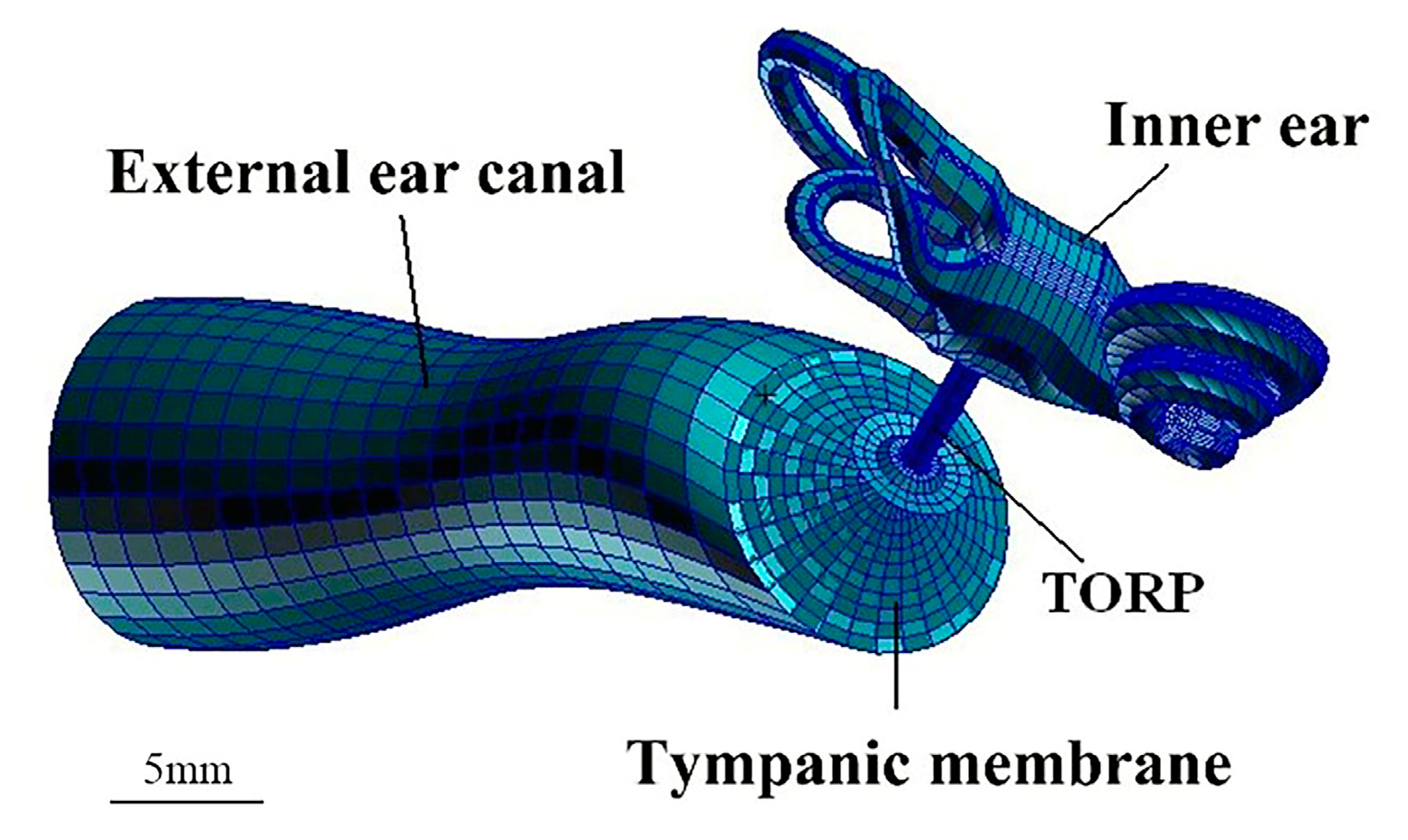 Assessing The Inner Ear