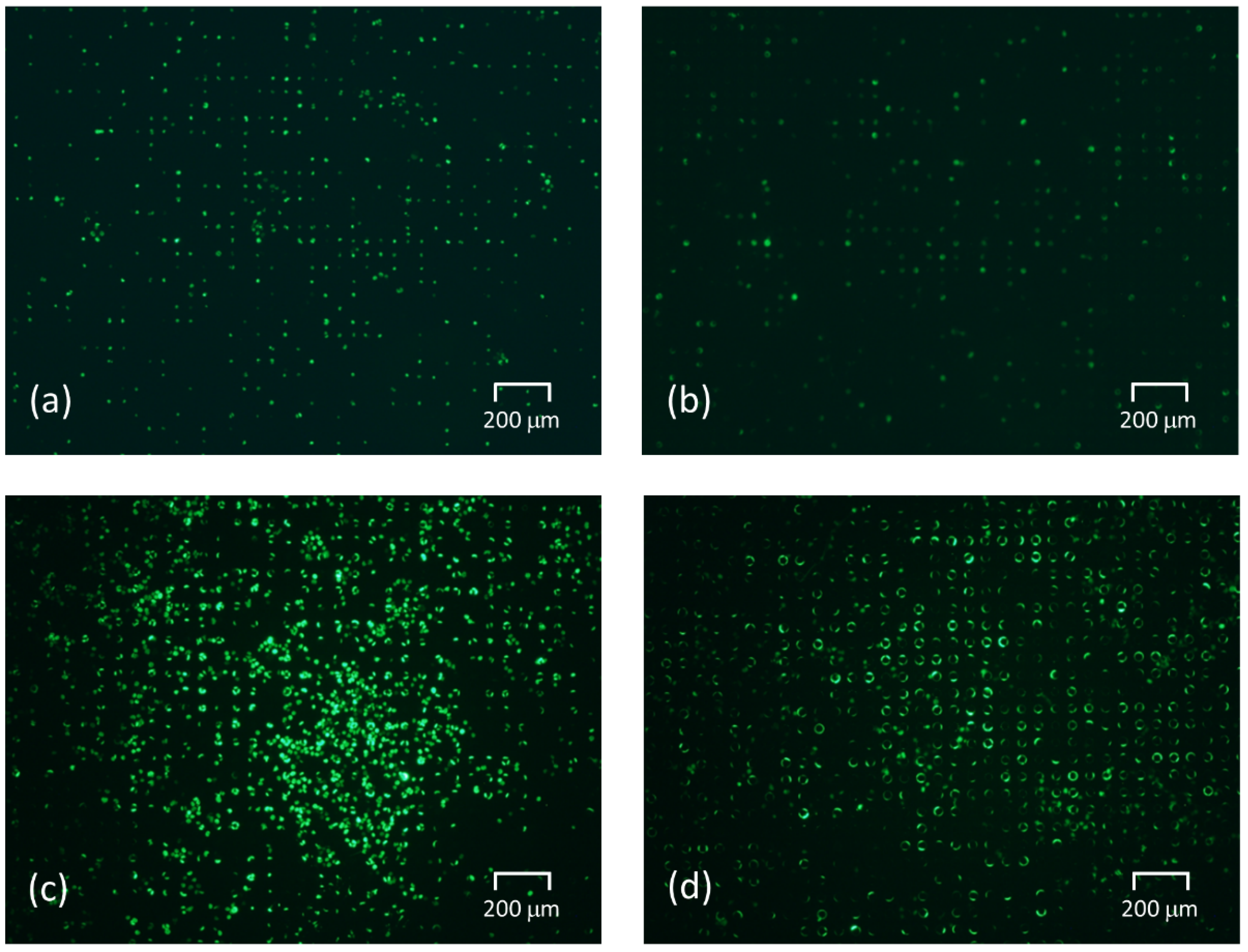 Micromachines 14 00492 g008 Micromachines 14 00492 g008