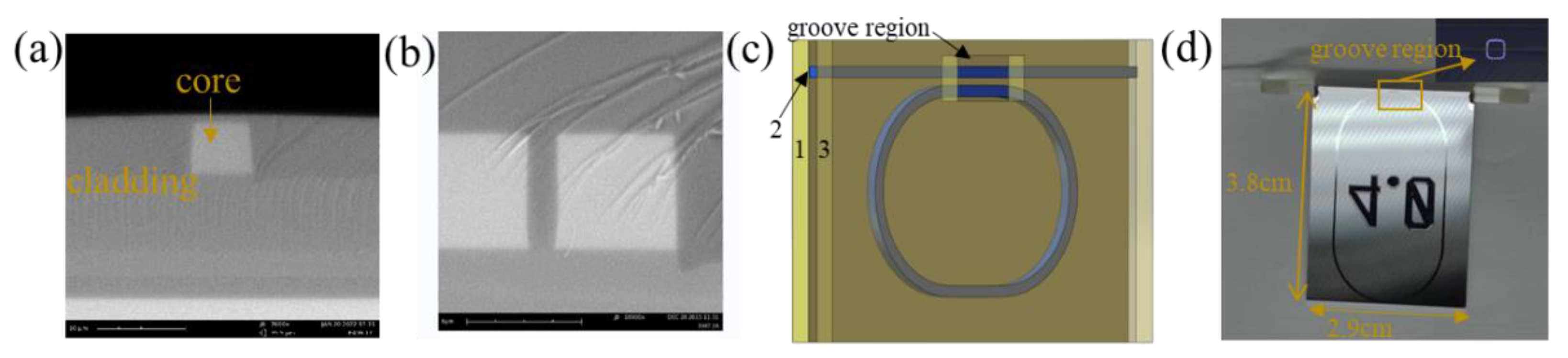 Micromachines 14 00512 g001