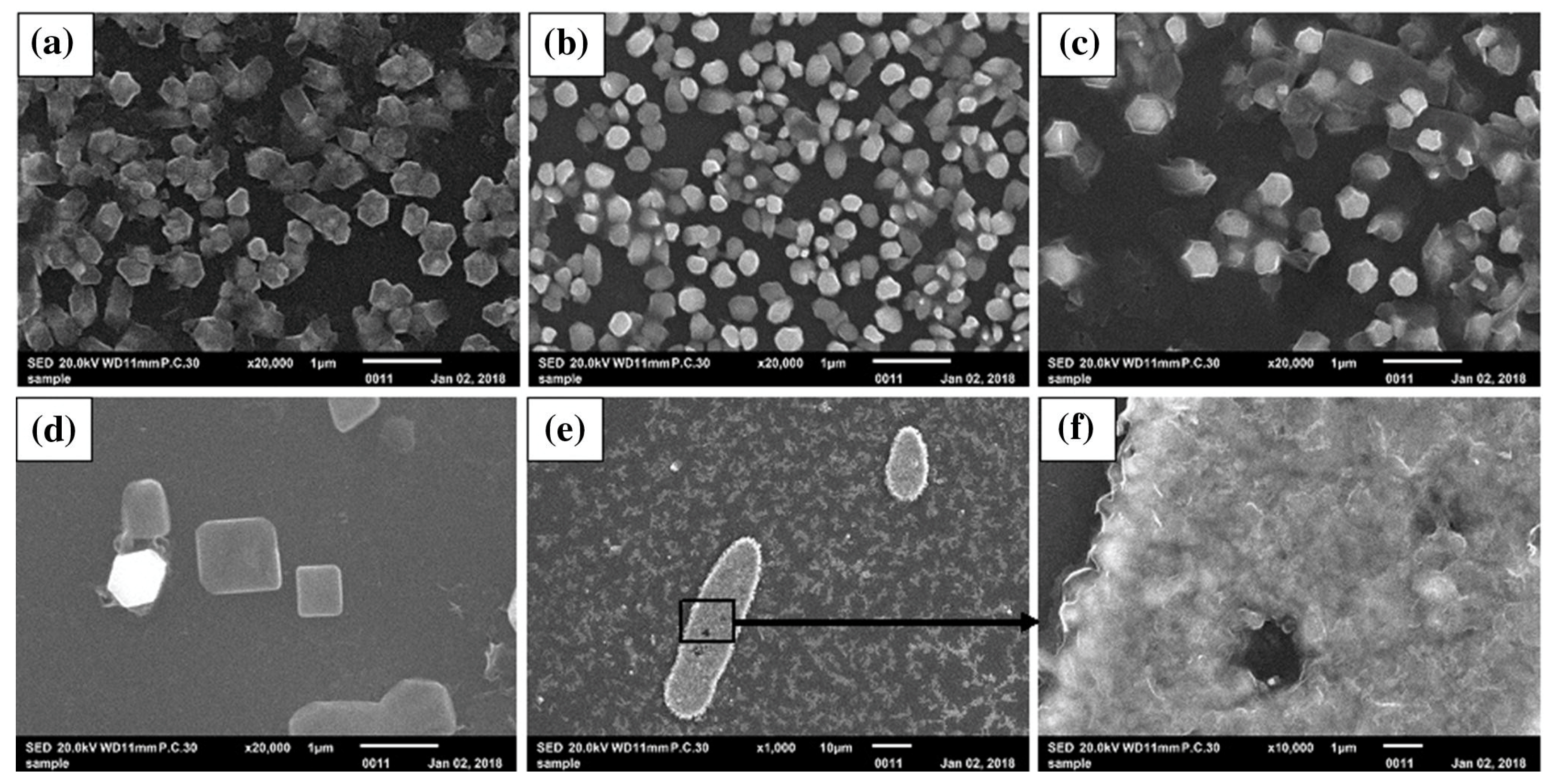 Micromachines 14 00536 g007