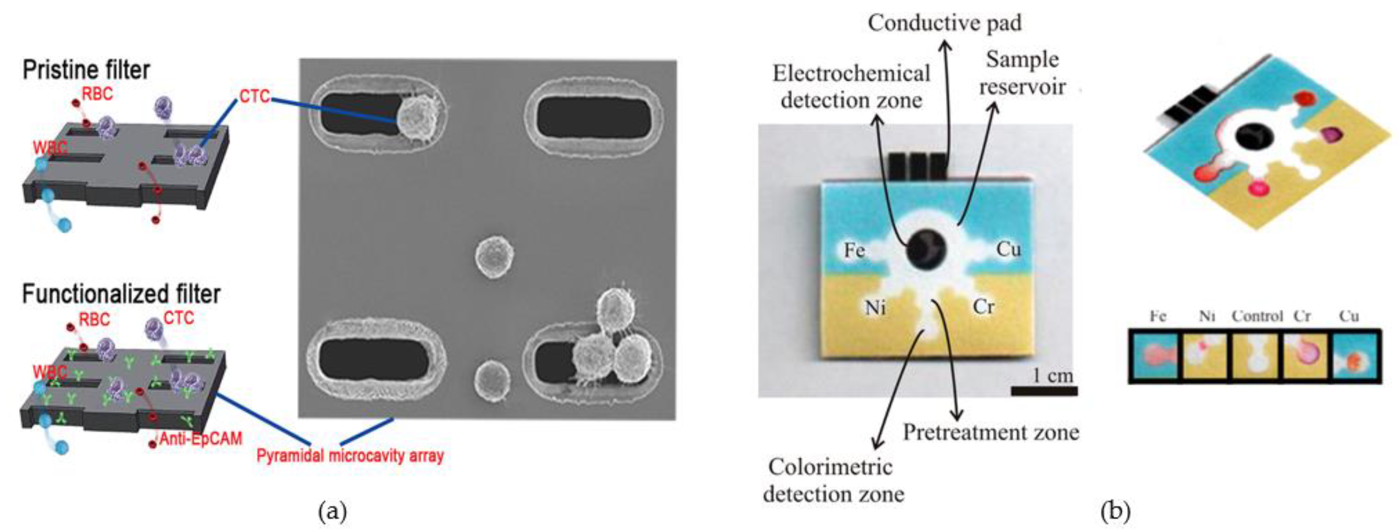12chan.org:8081 naked b Porous Structural Microfluidic Device for Biomedical Diagnosis: A Review