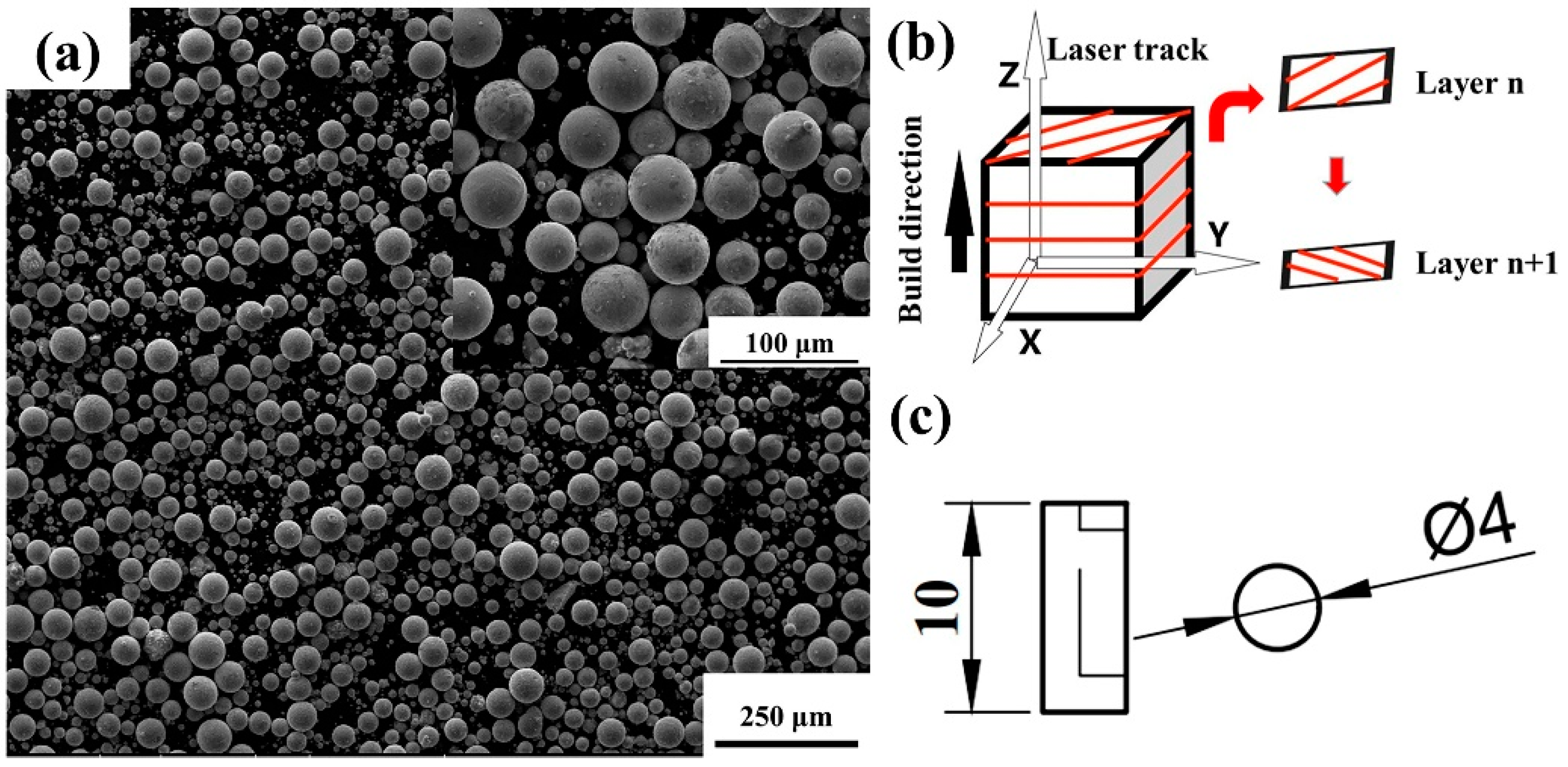 Micromachines 14 00556 g001