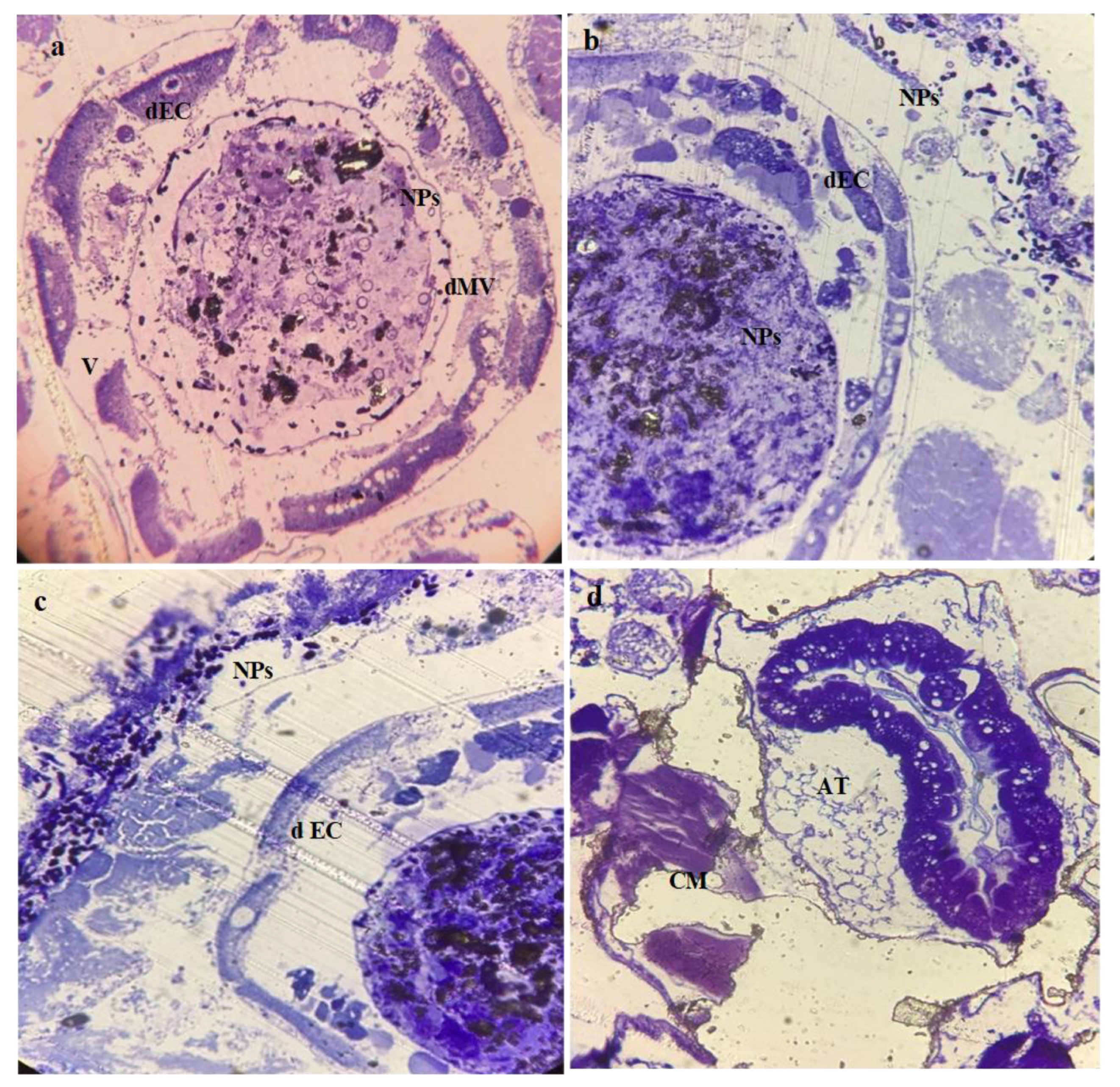 Micromachines 14 00567 g007 Micromachines 14 00567 g007