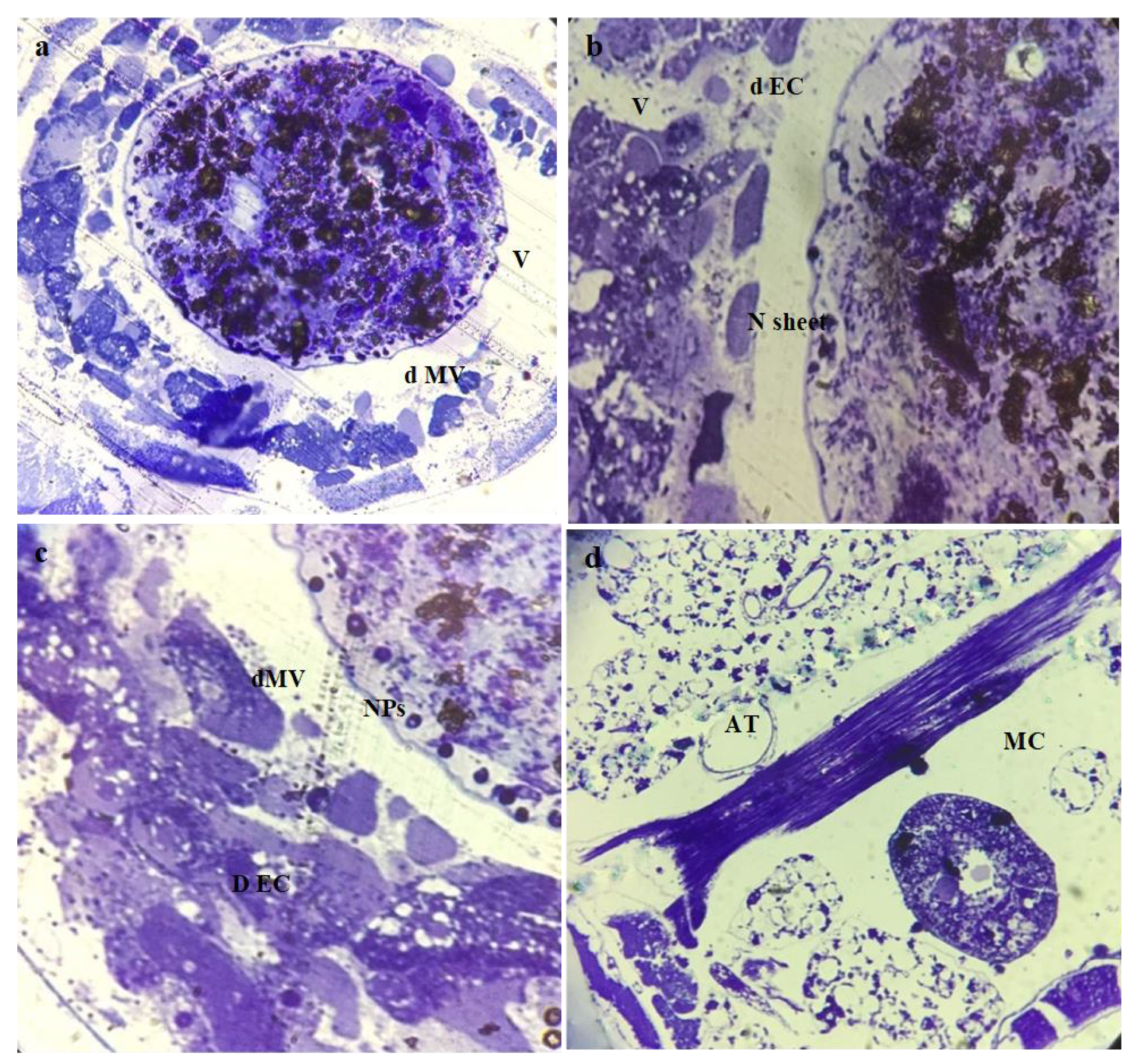 Micromachines 14 00567 g008 Micromachines 14 00567 g008