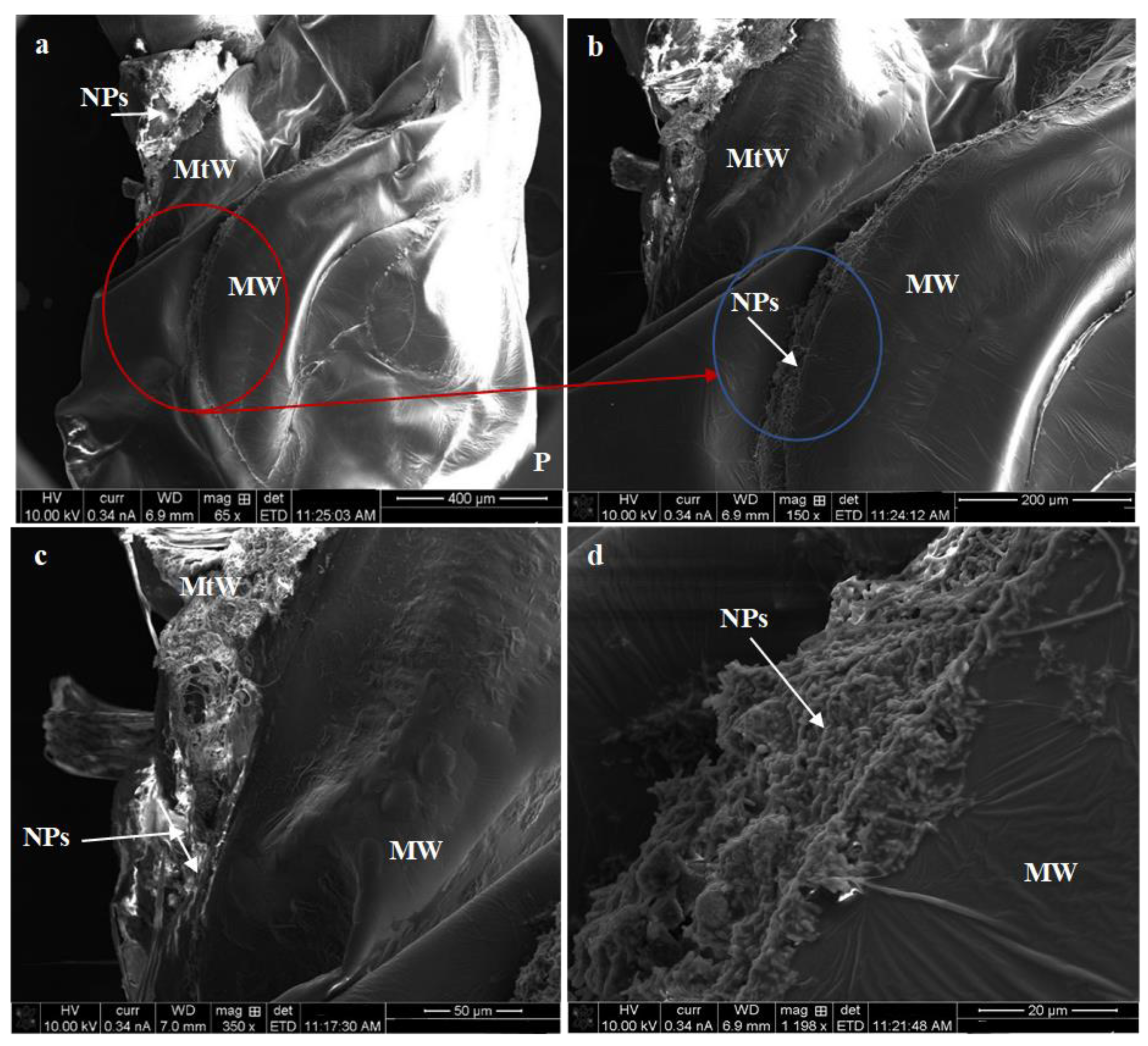 Micromachines 14 00567 g009 Micromachines 14 00567 g009
