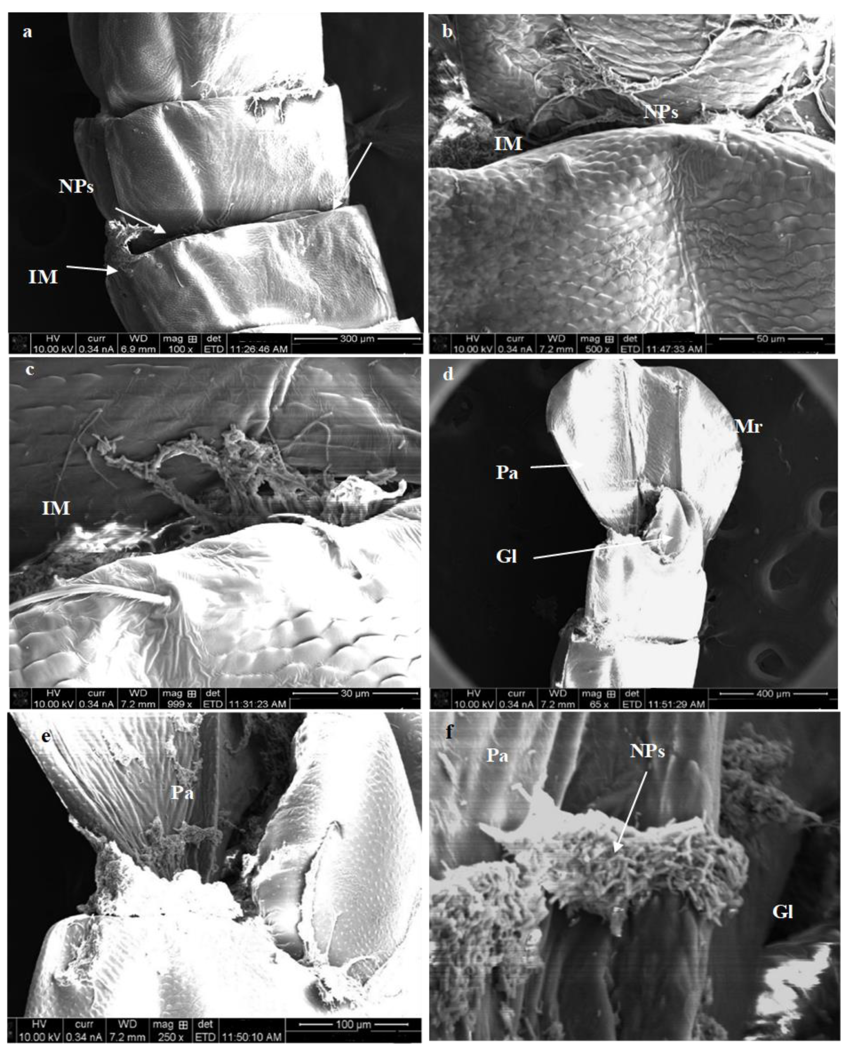 Micromachines 14 00567 g010 Micromachines 14 00567 g010