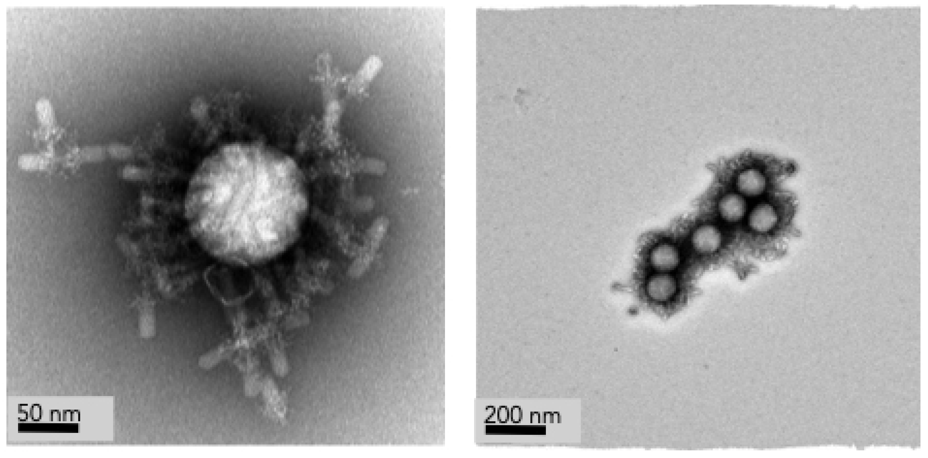 Micromachines 14 00573 g003