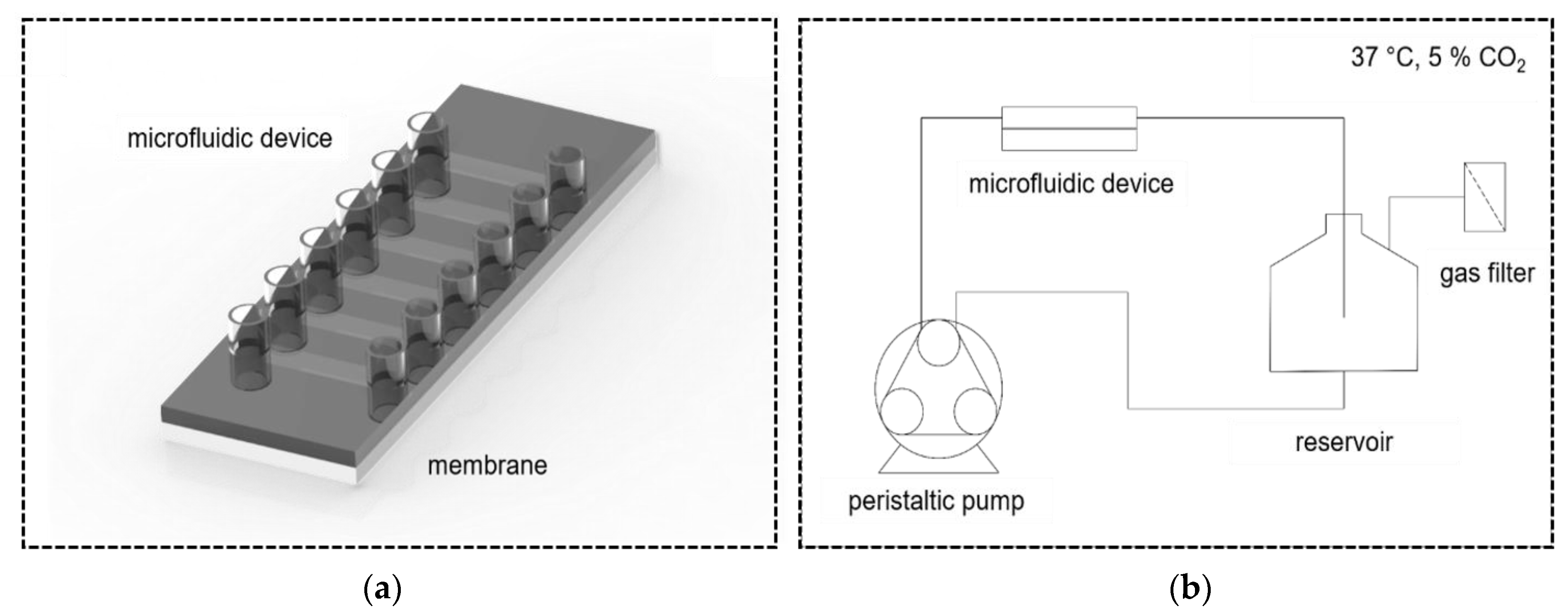 Micromachines 14 00575 g002