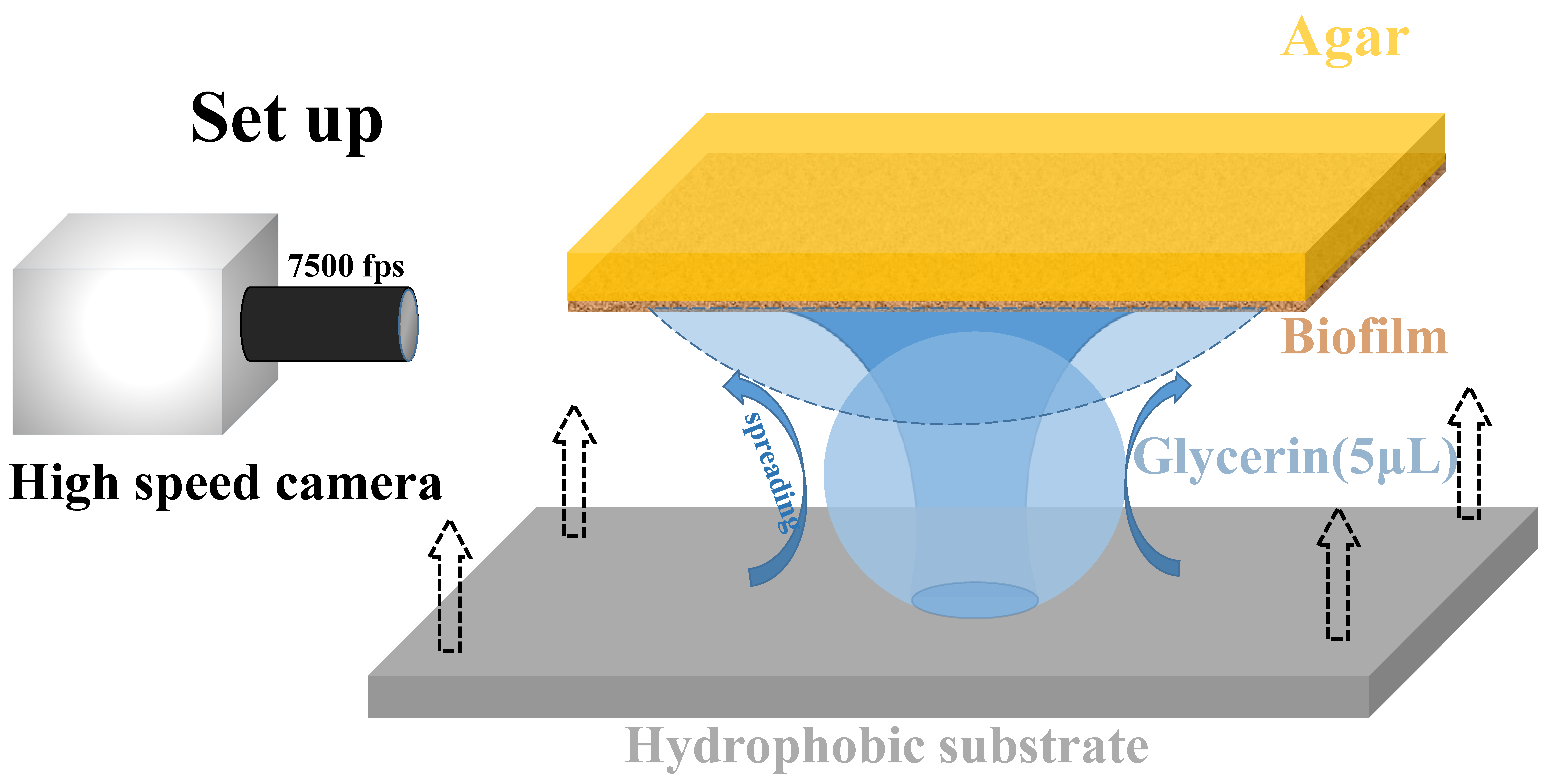 Micromachines 14 00599 g001 Micromachines 14 00599 g001
