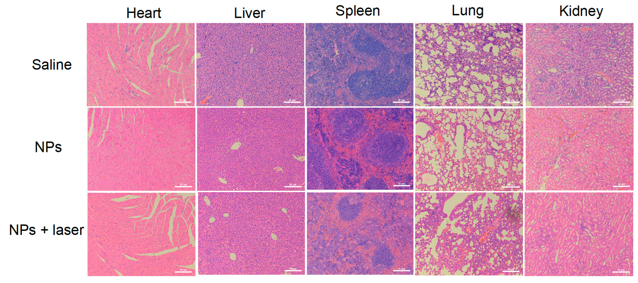 Micromachines 14 00613 g005