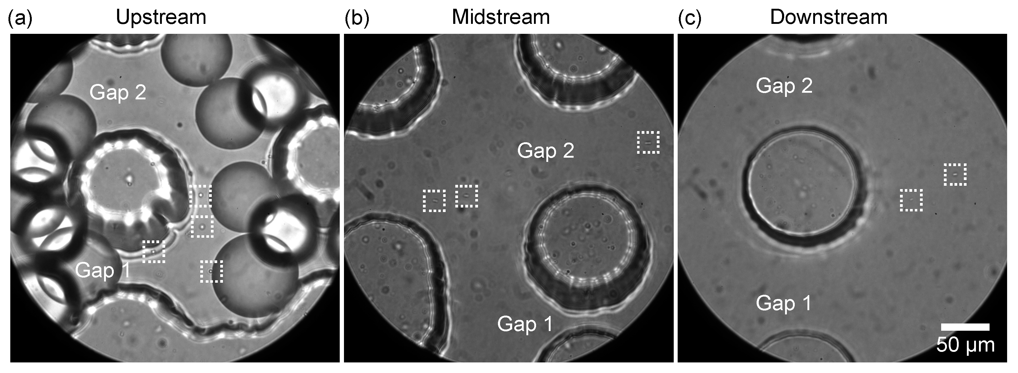 Micromachines 14 00622 g005 Micromachines 14 00622 g005