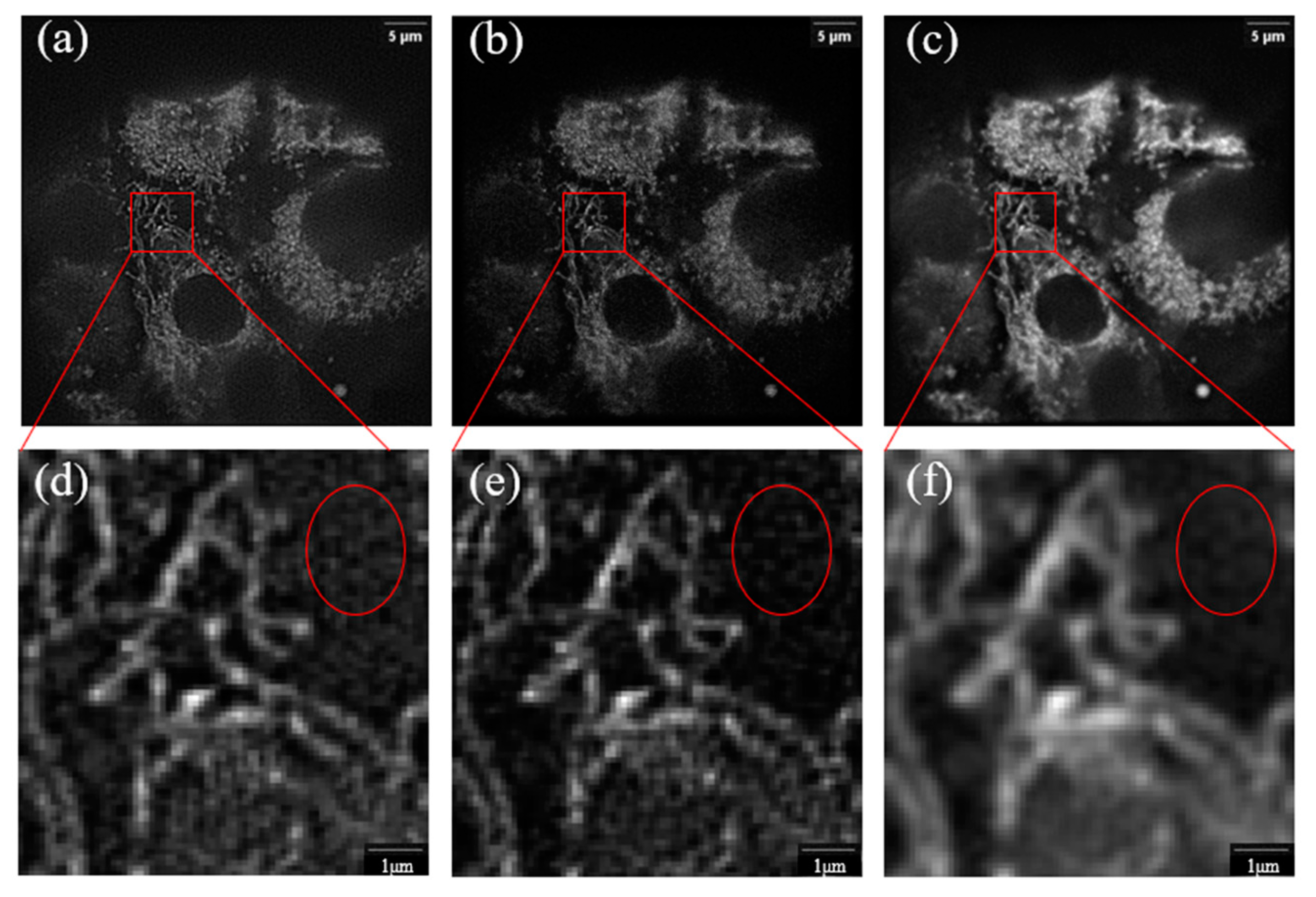 Micromachines 14 00642 g001