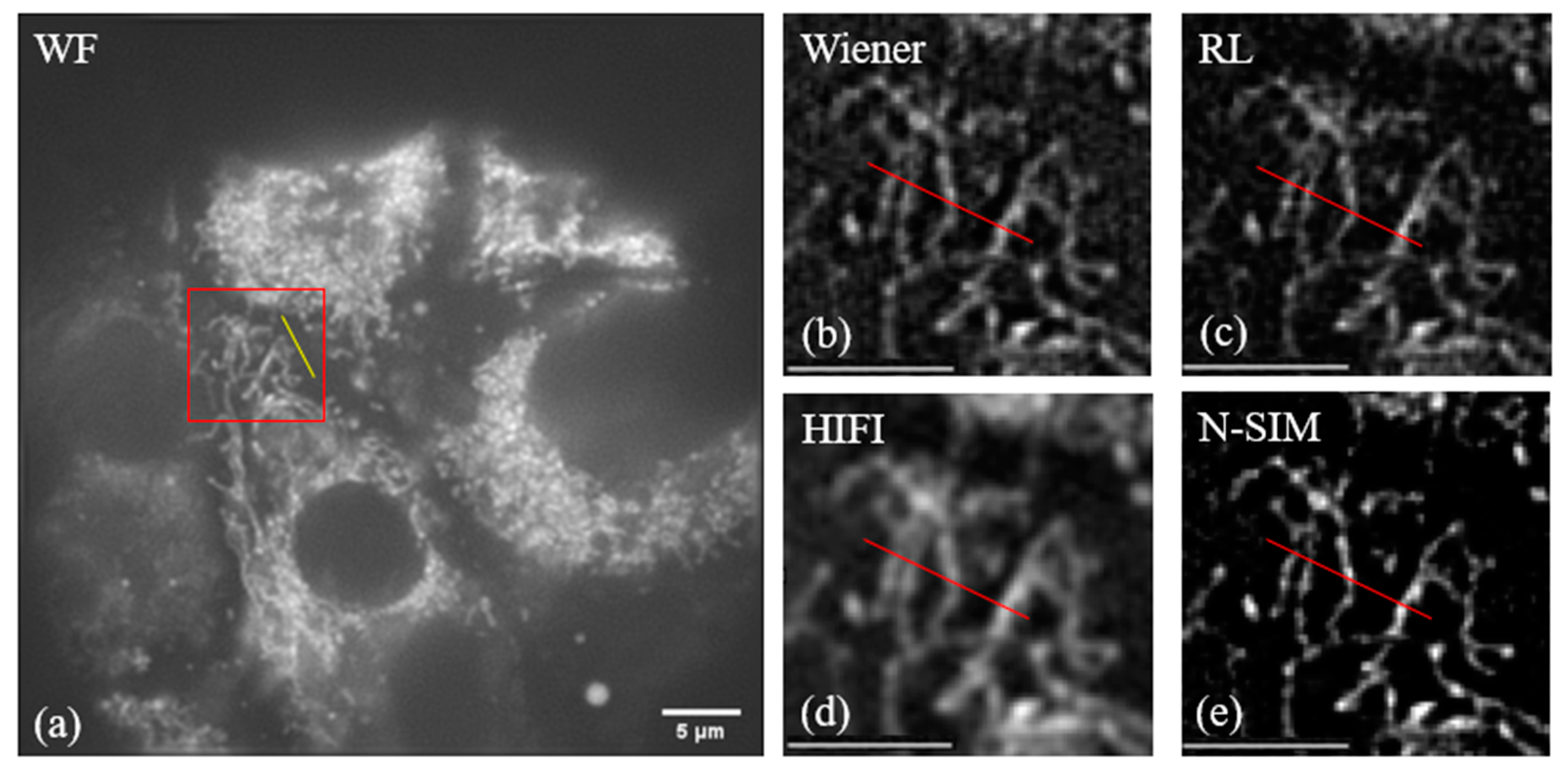 Micromachines 14 00642 g006