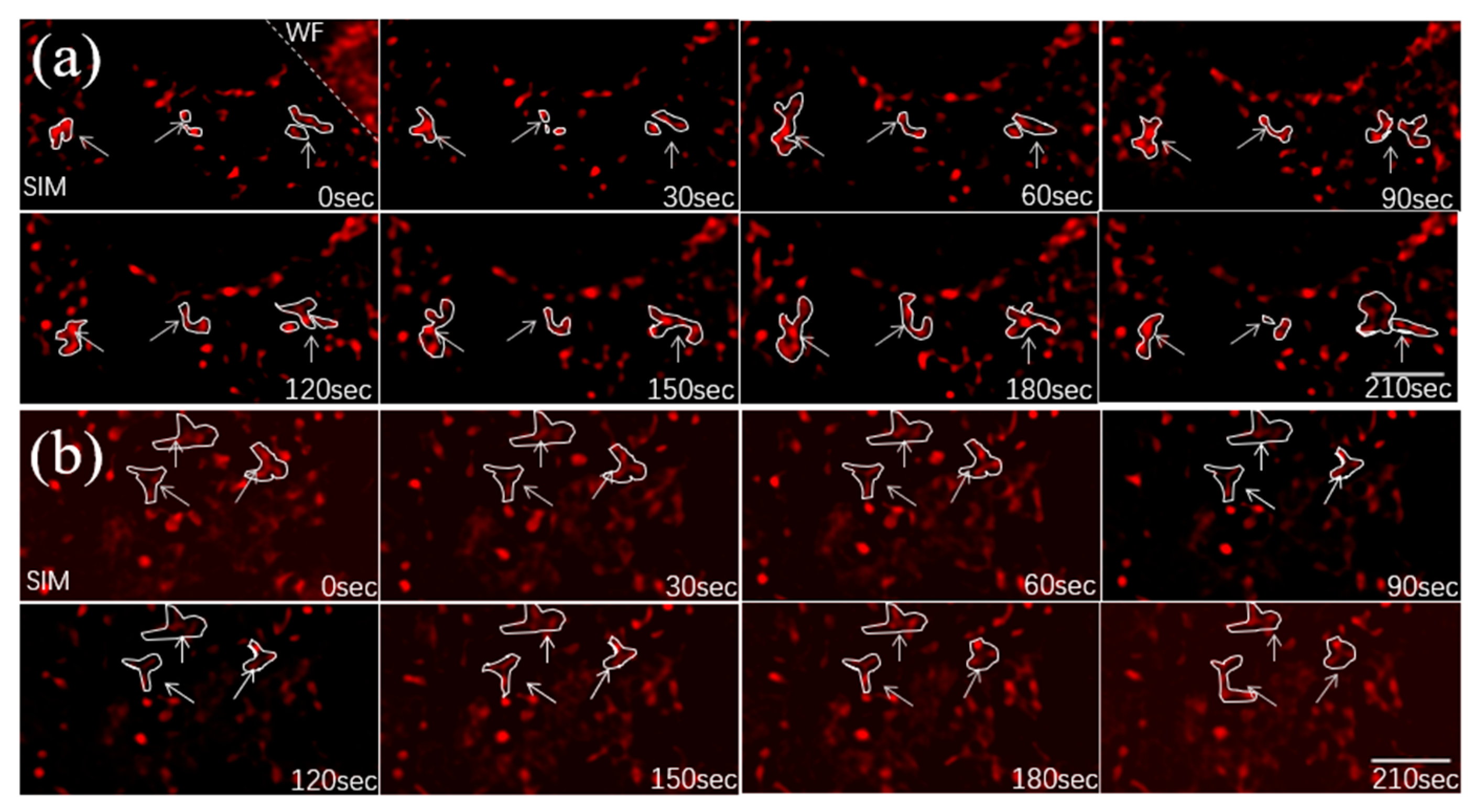 Micromachines 14 00642 g011