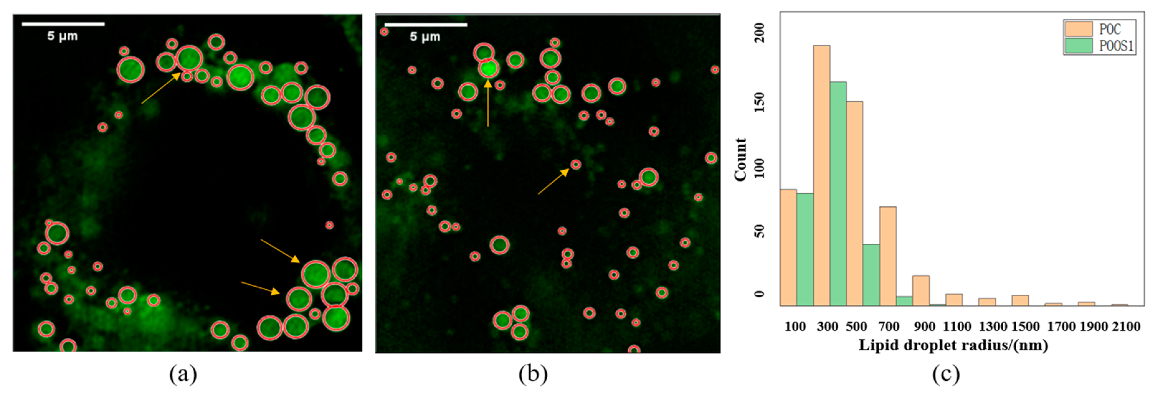 Micromachines 14 00642 g013