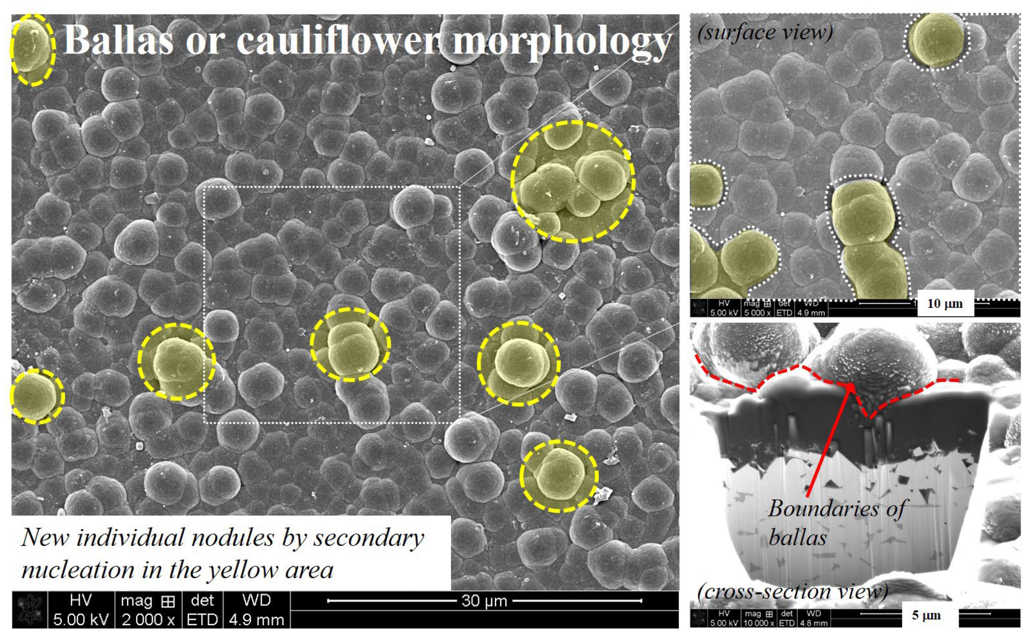 Micromachines 14 00664 g008