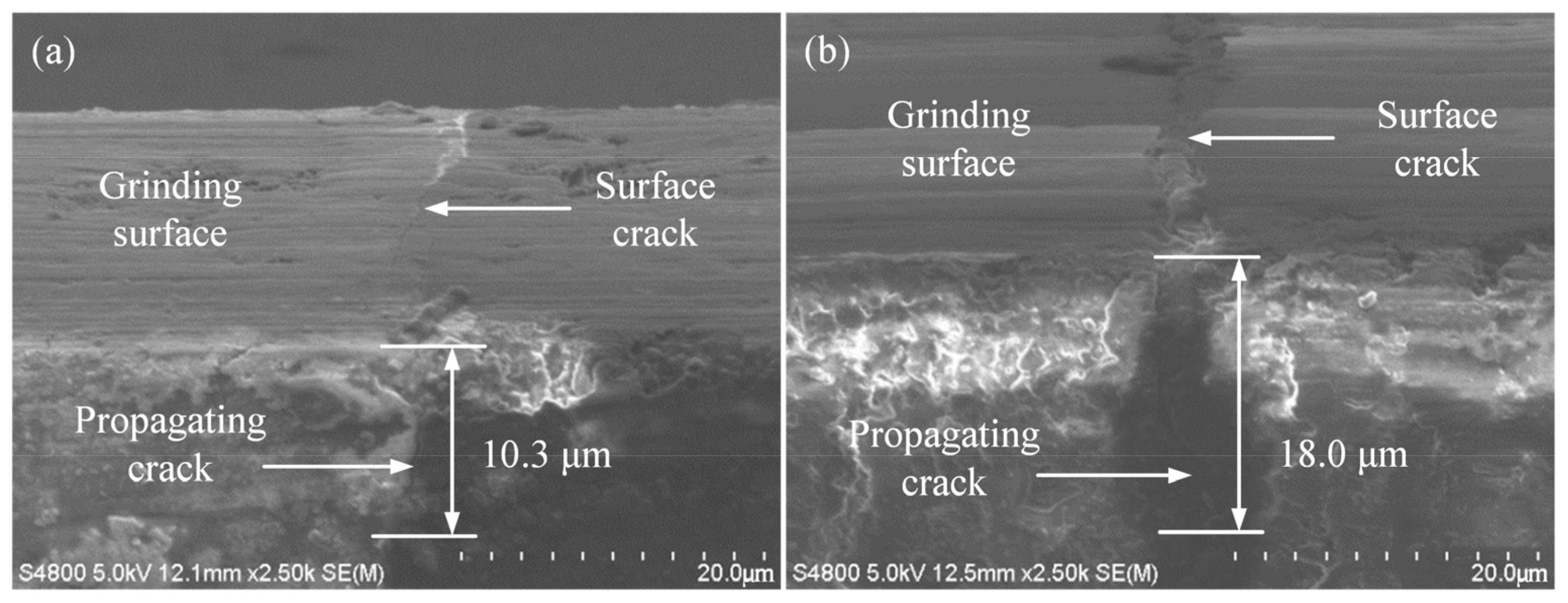 Micromachines 14 00666 g005