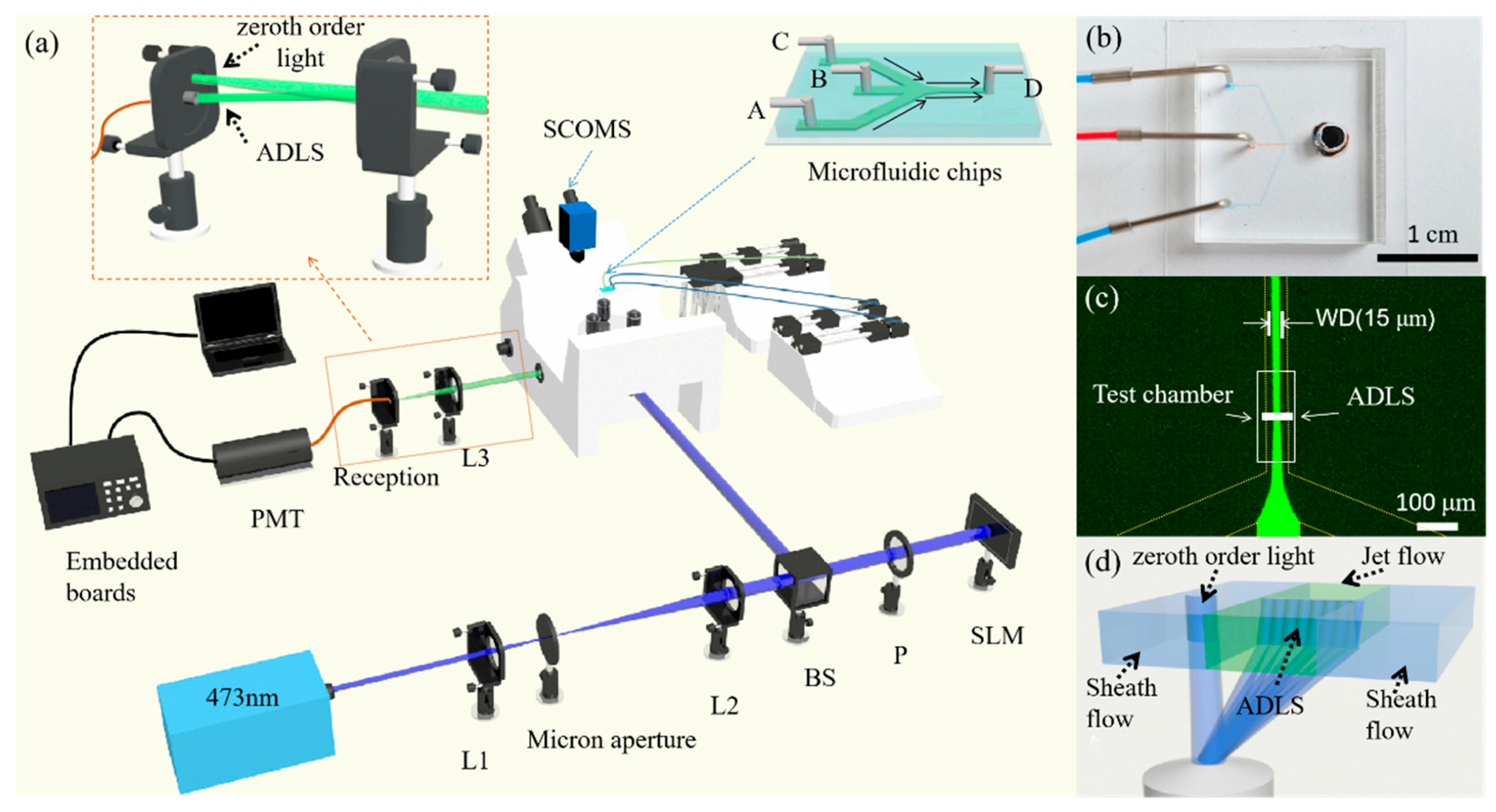 Micromachines 14 00679 g002