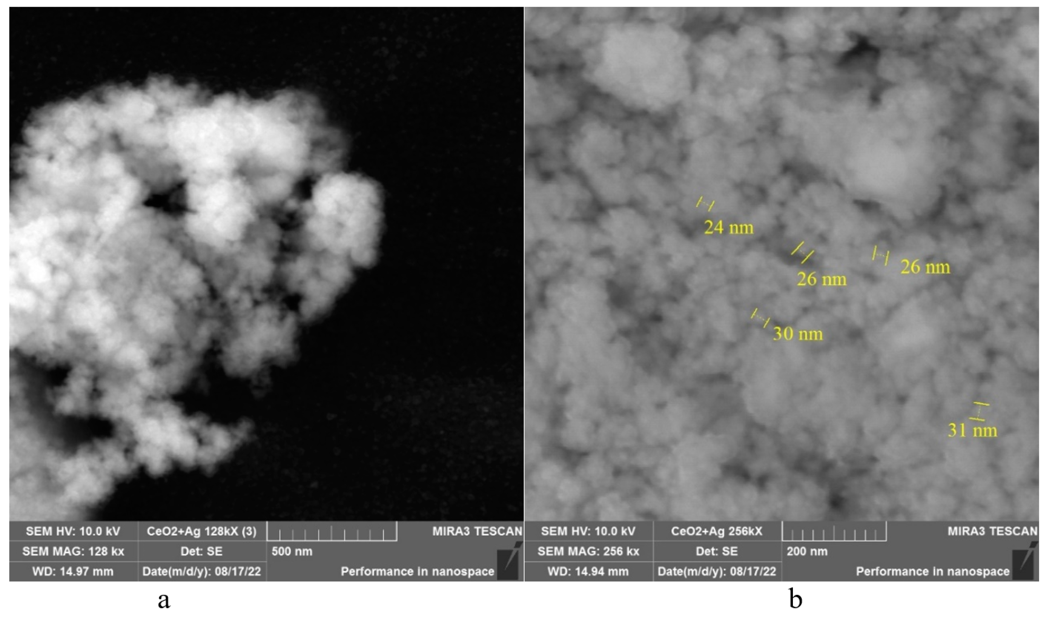 Micromachines 14 00694 g003