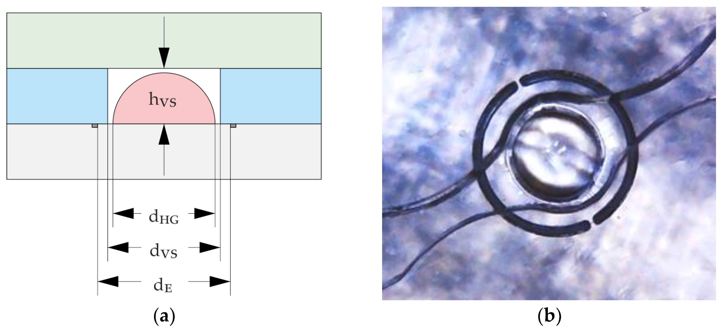 Micromachines 14 00699 g003 Micromachines 14 00699 g003