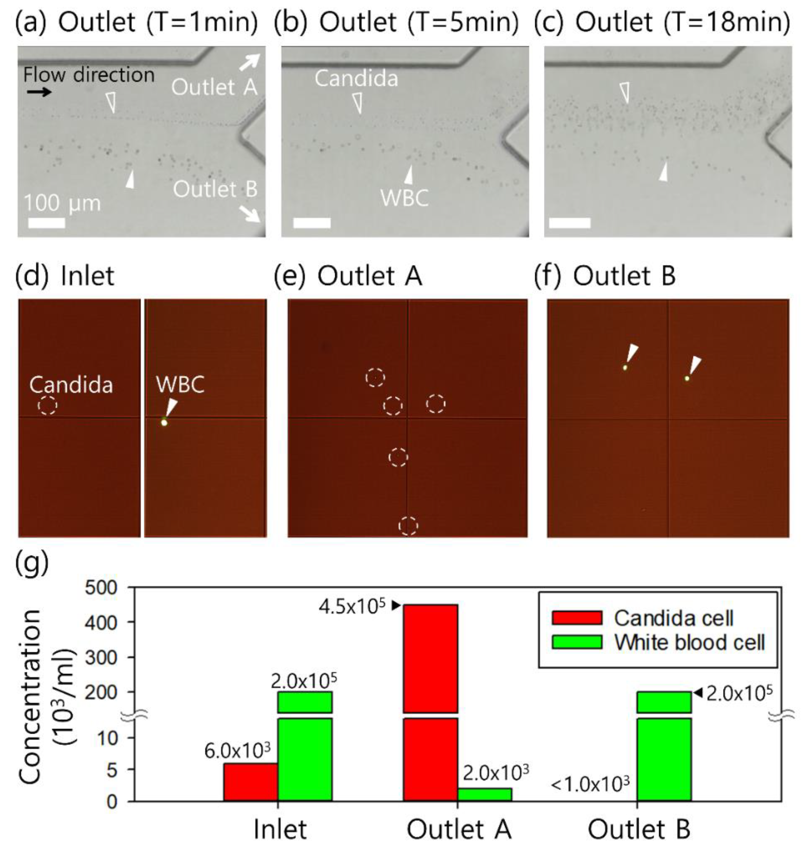 Micromachines 14 00712 g003