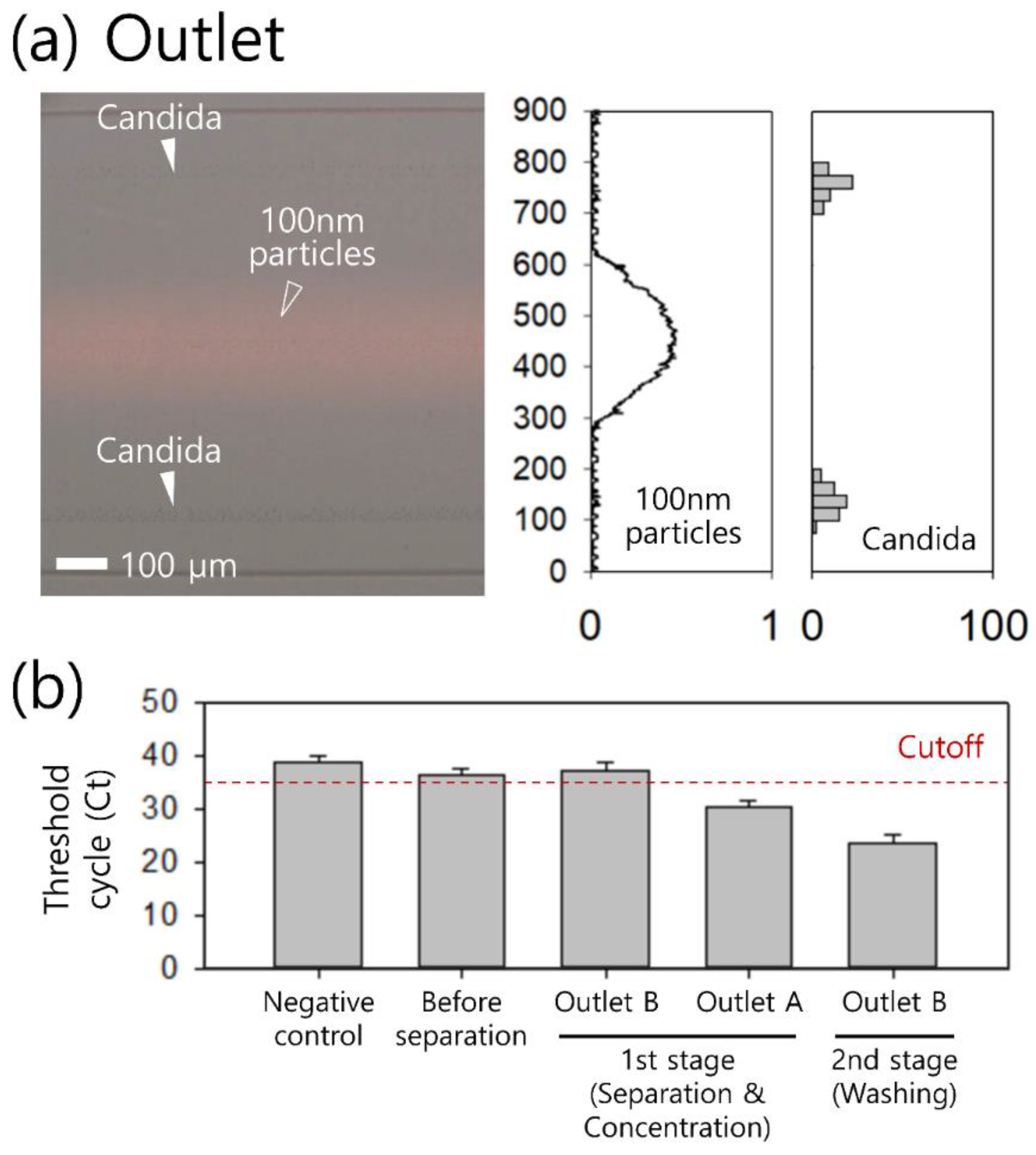 Micromachines 14 00712 g005