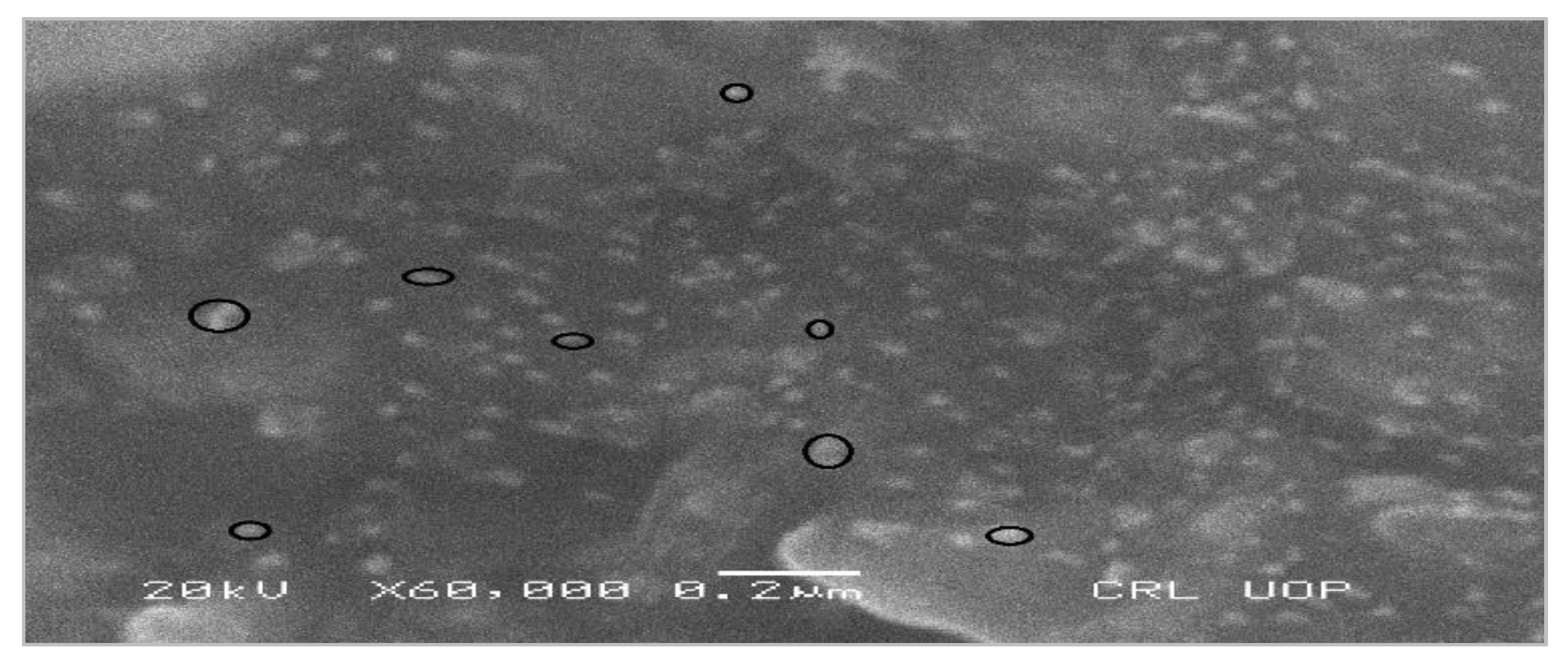 Micromachines 14 00736 g001 Micromachines 14 00736 g001