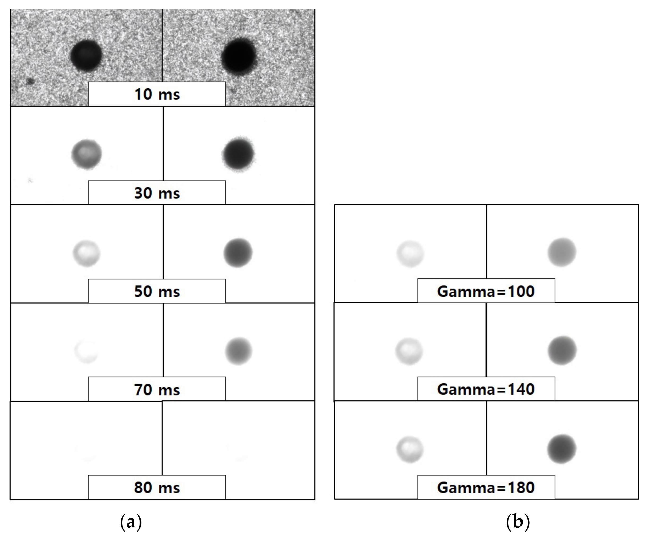 Micromachines 14 00743 g006