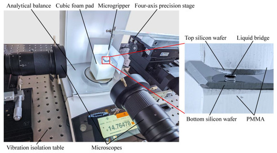 A Predictive Model of Capillary Forces and Contact Diameters